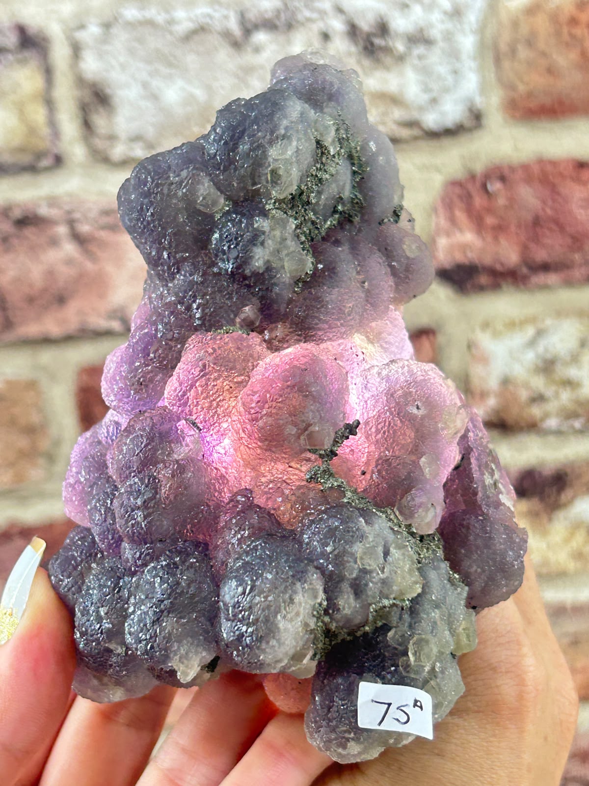 Botryoidal Fluorite with Pyrite A