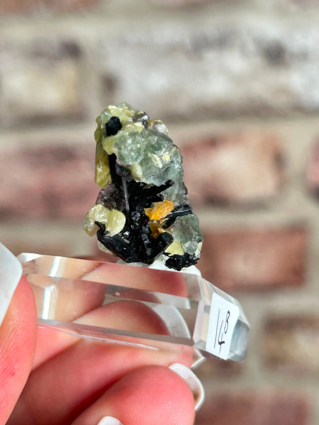 Phantom Fluorite with Yellow Muscovite B