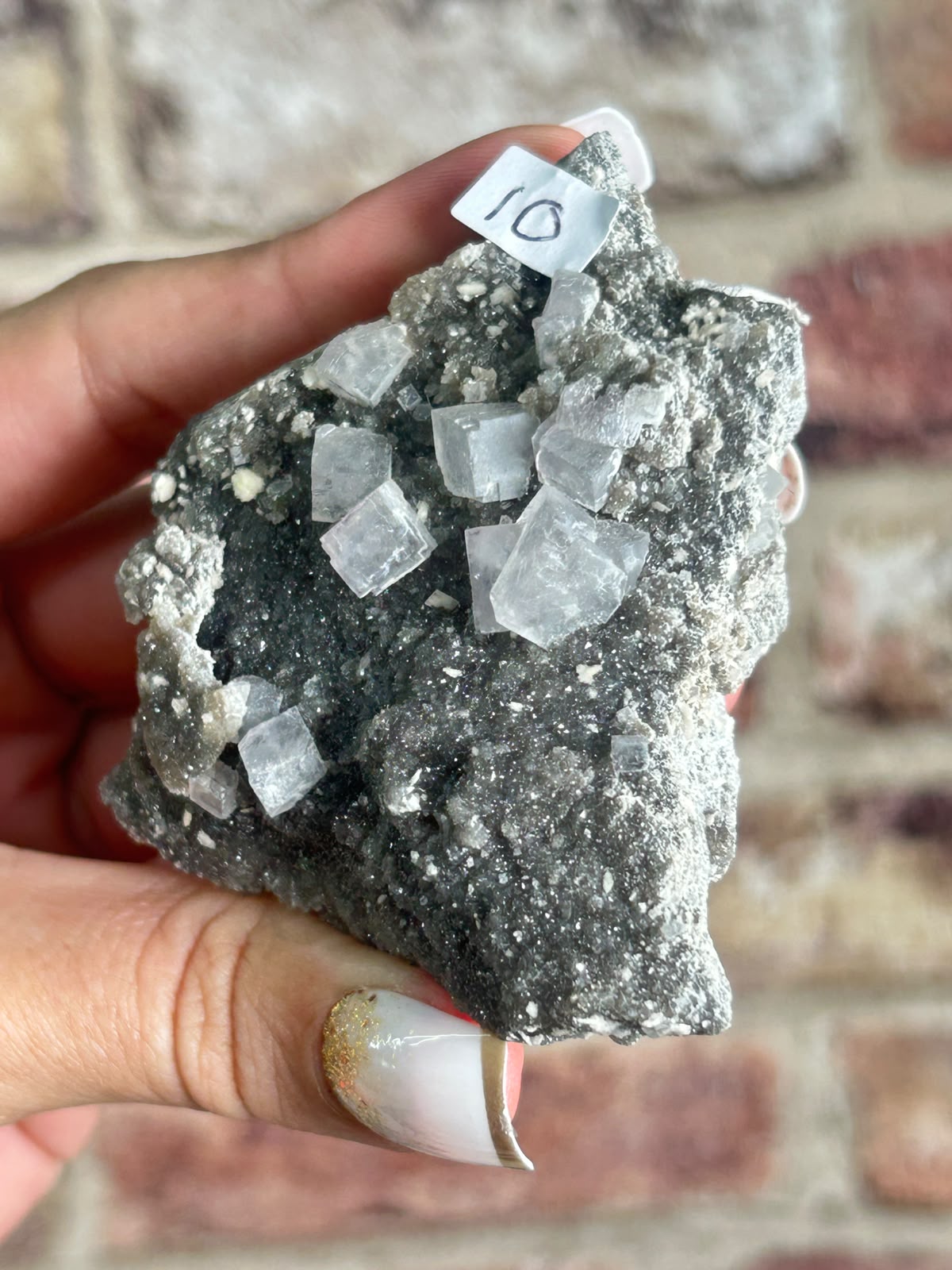 Fluorite on Black Quartz