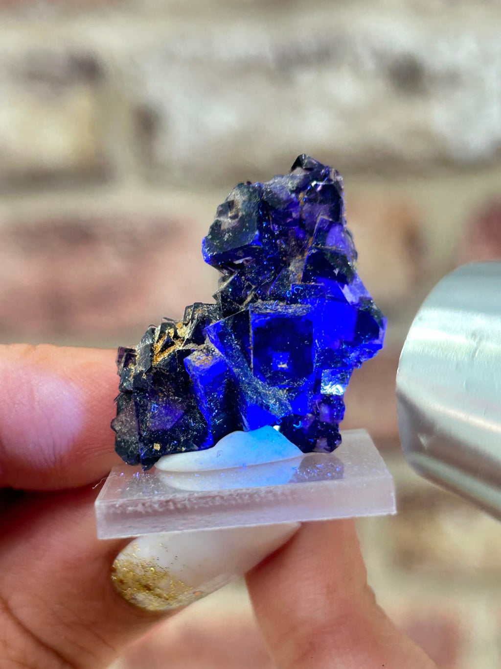 Phantom Fluorite with Actinolite & Rutile C