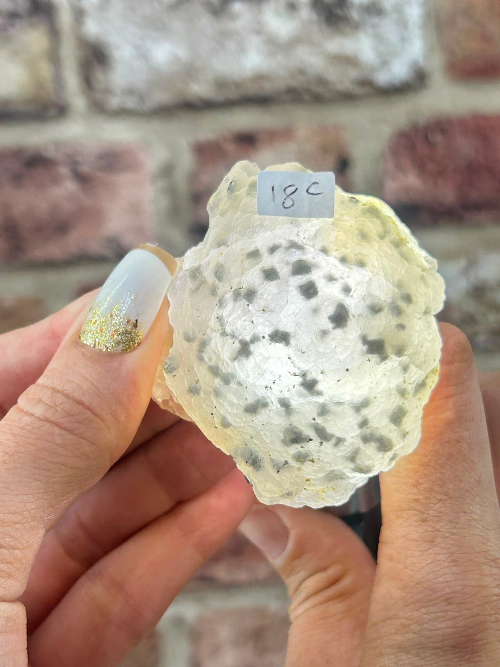 Botryoidal Fluorite with Pyrite C