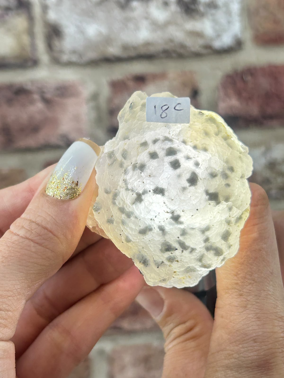 Botryoidal Fluorite with Pyrite C