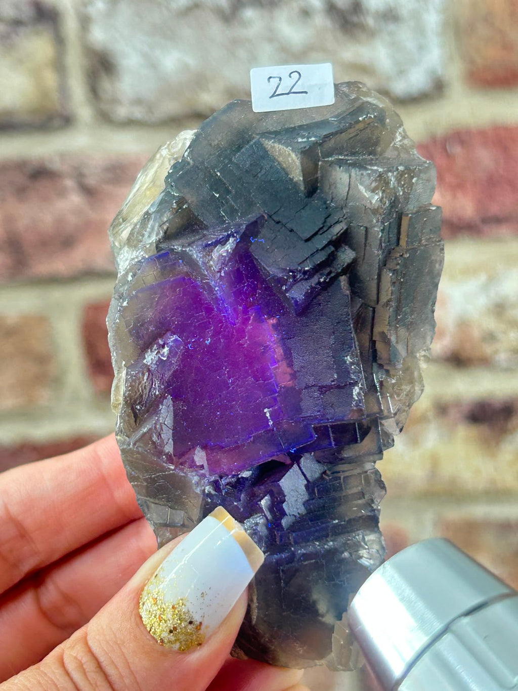 Black Fluorite