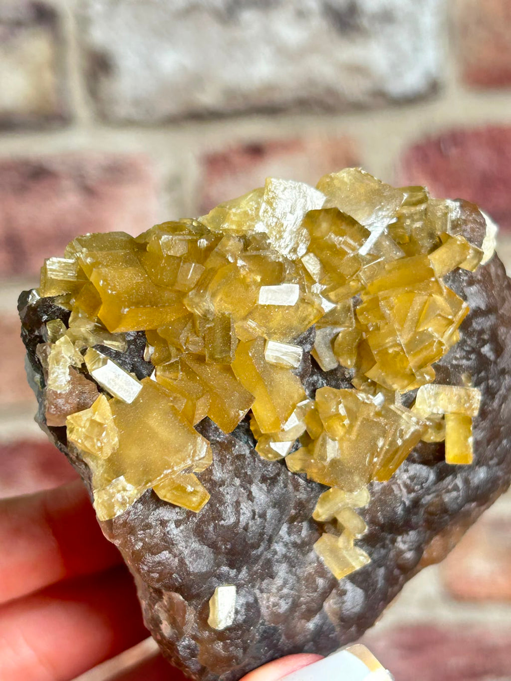 Golden Barite on Botryoidal Fluorite