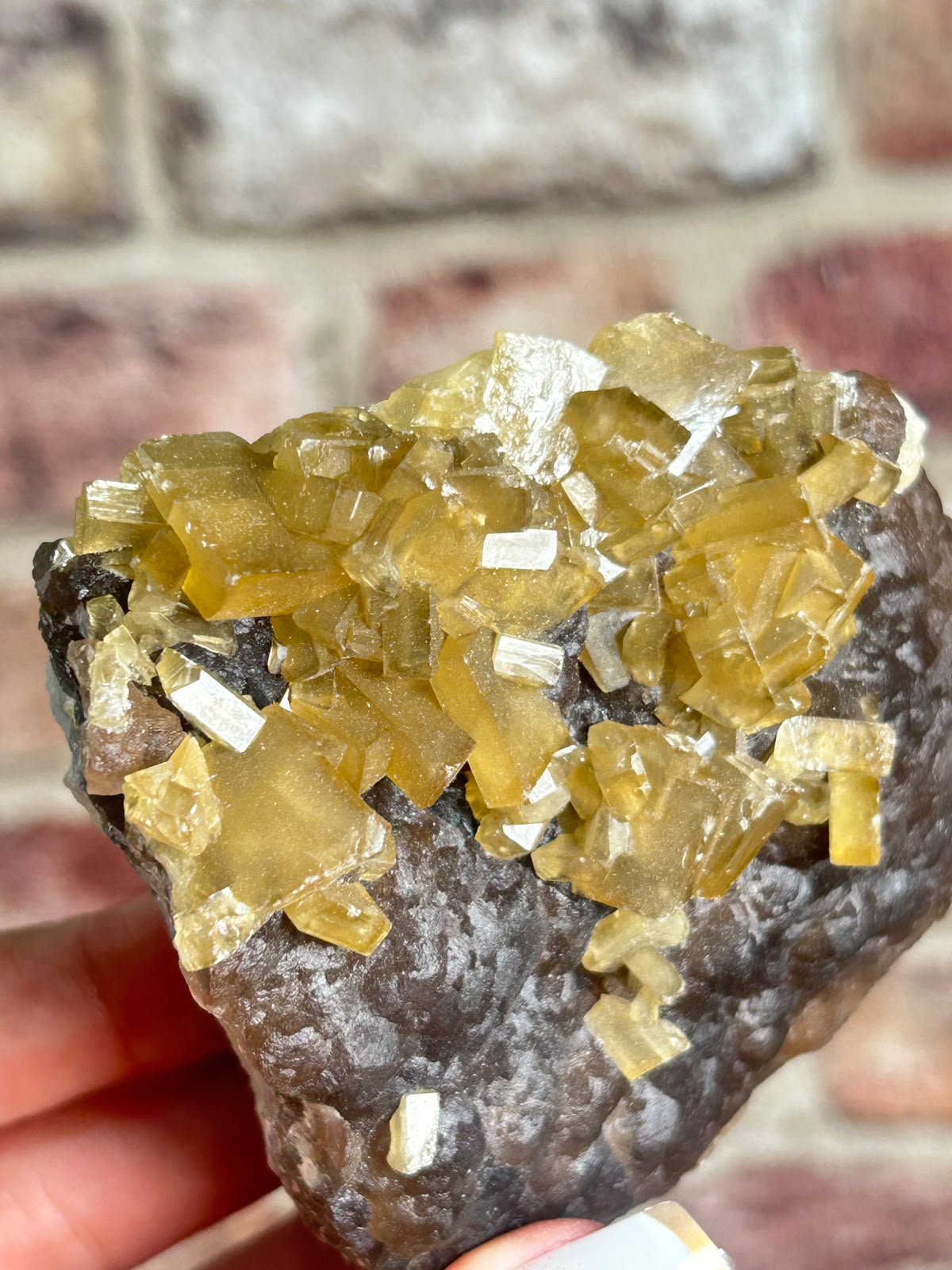 Golden Barite on Botryoidal Fluorite