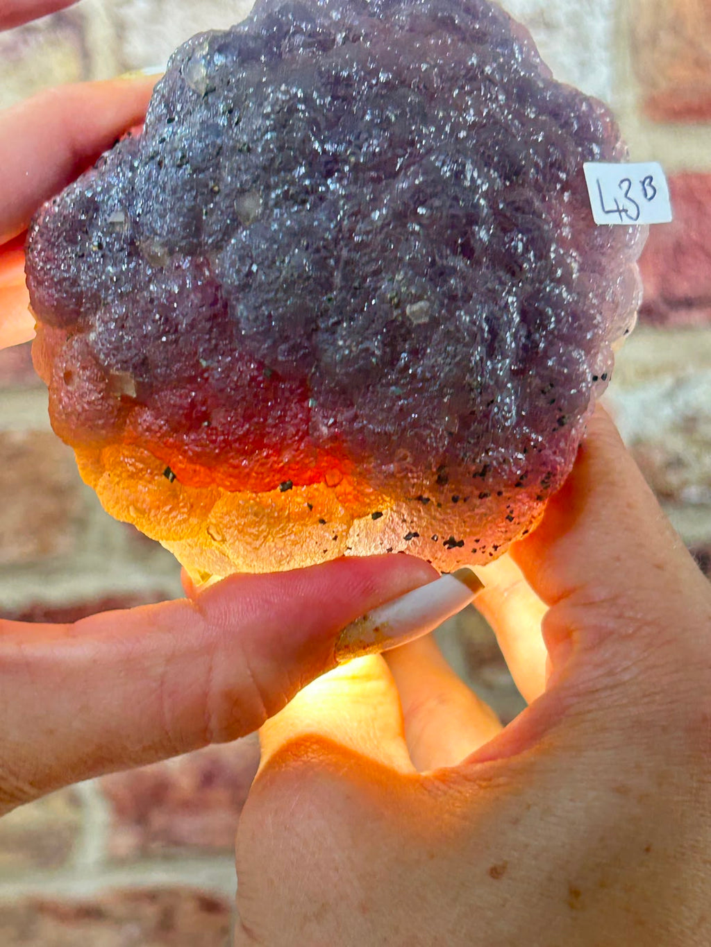 Botryoidal Fluorite with Pyrite B