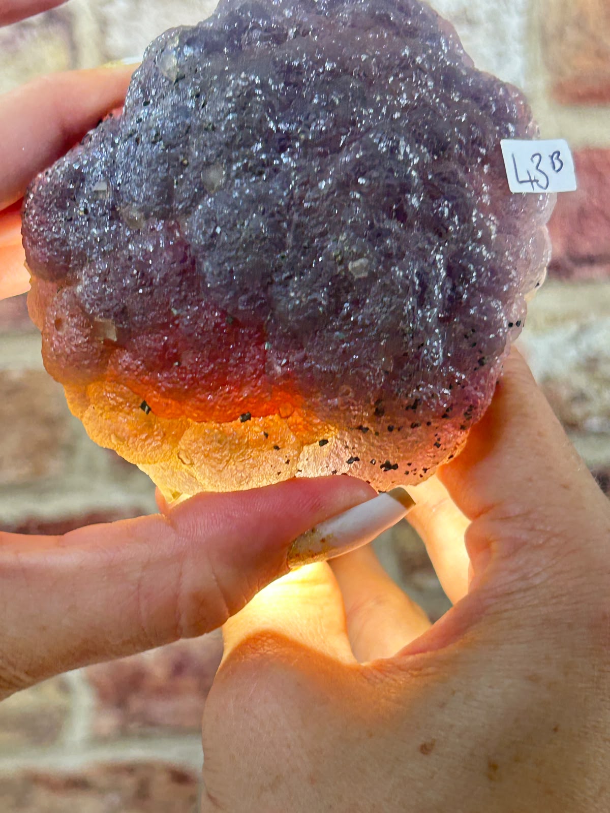 Botryoidal Fluorite with Pyrite B