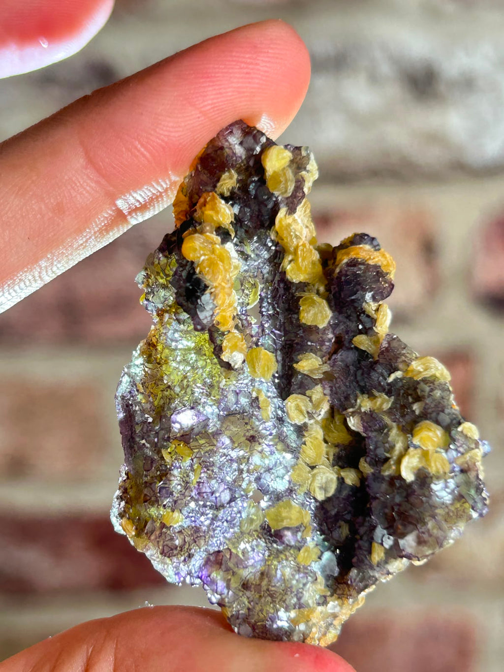 Phantom Fluorite with Yellow Muscovite A