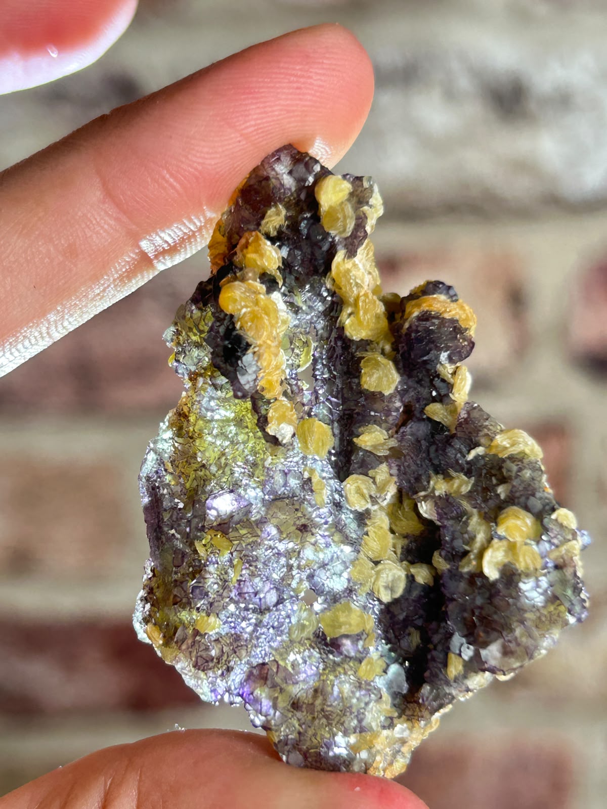 Phantom Fluorite with Yellow Muscovite A