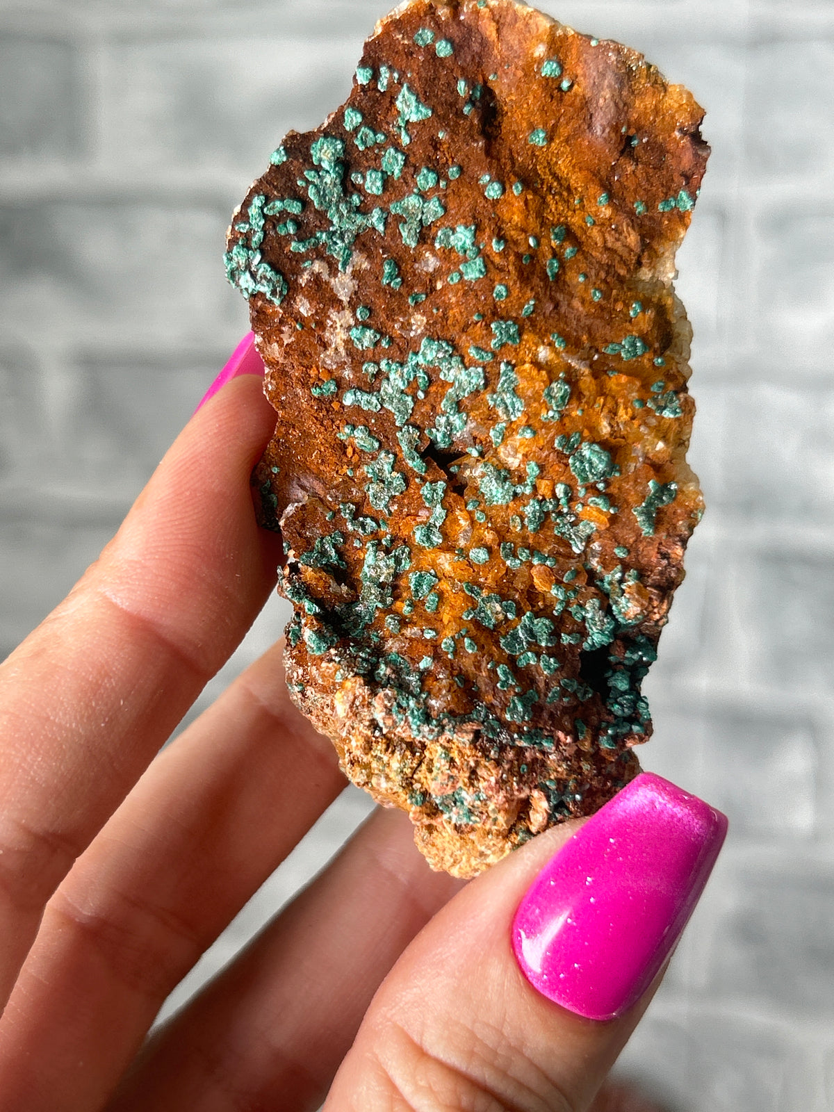 Malachite congo
