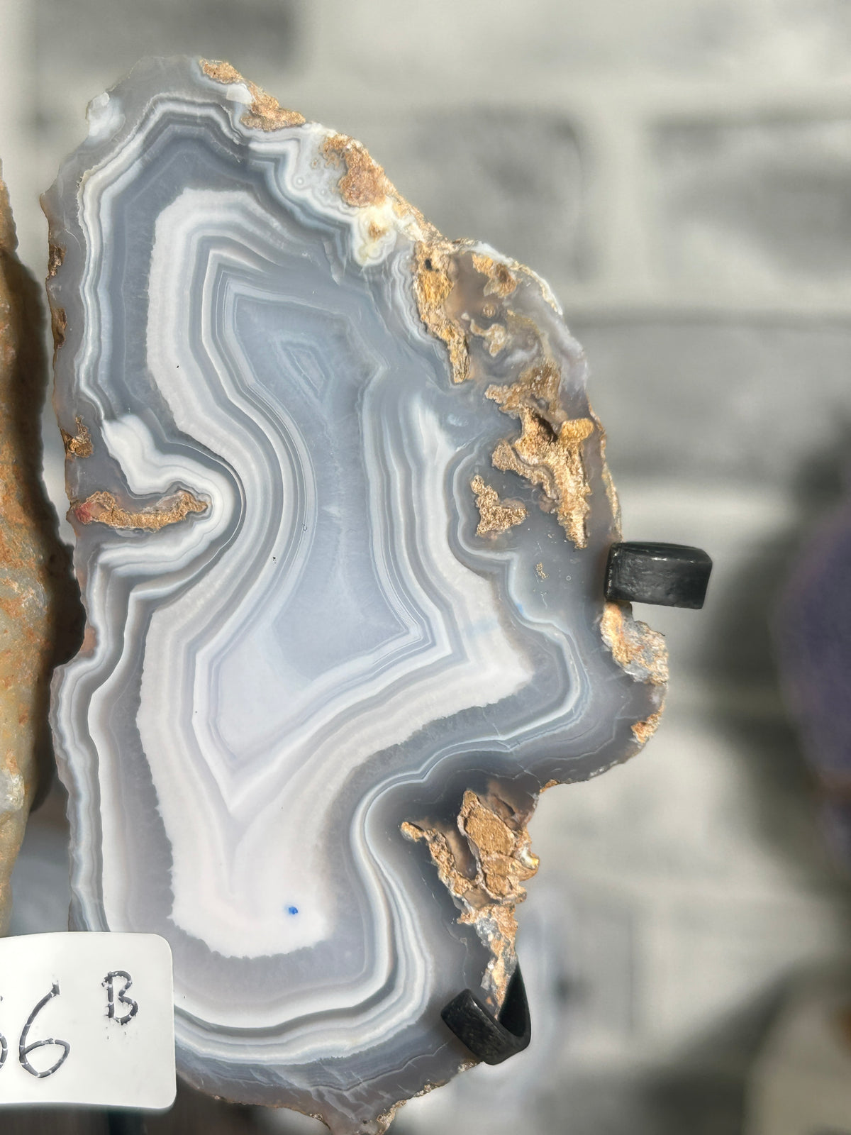 Blue Banded Agate Nodule Pair on Custom Stand B