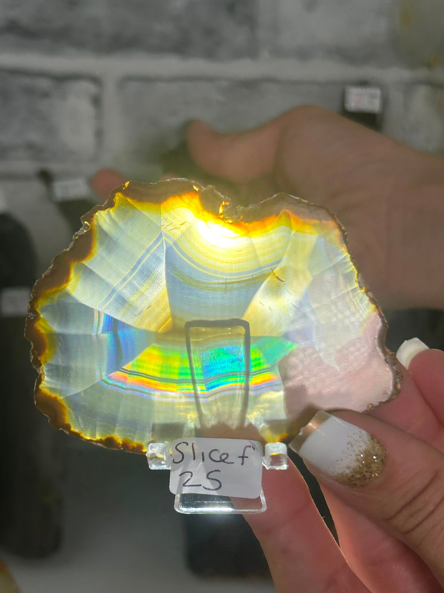 Iris Agate Slice F