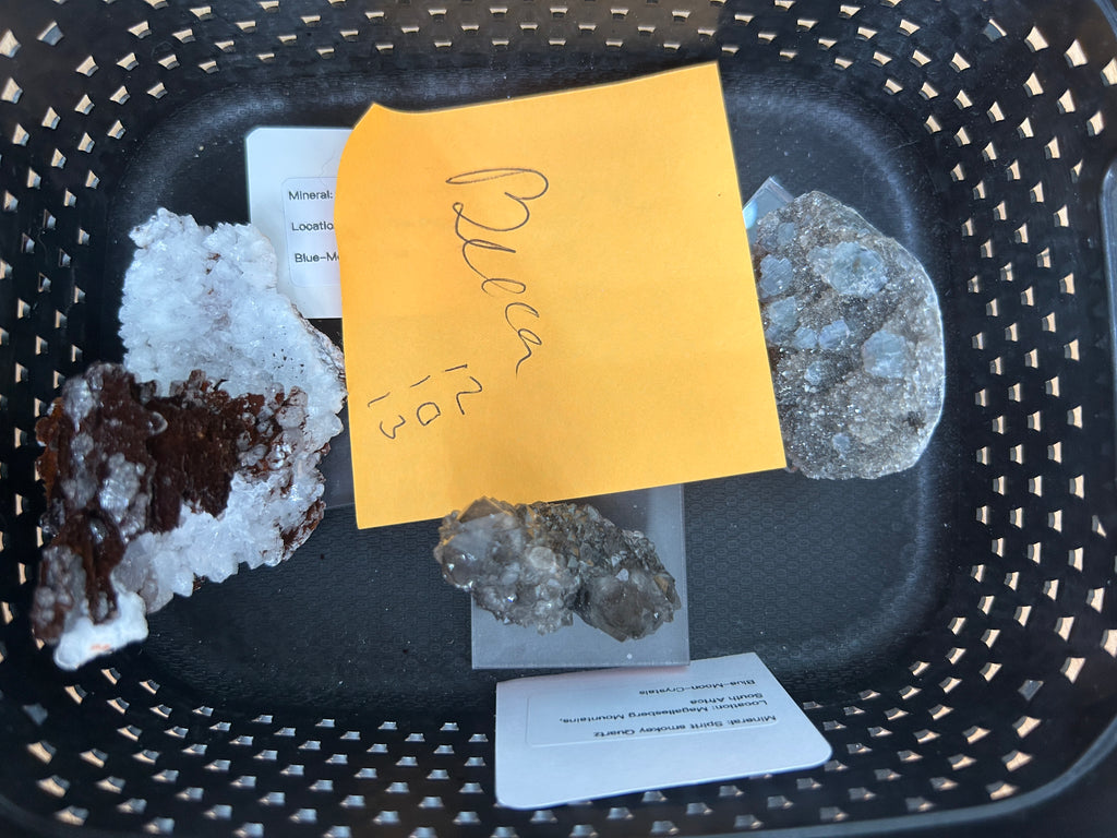 Live Sale Basket - Becca
