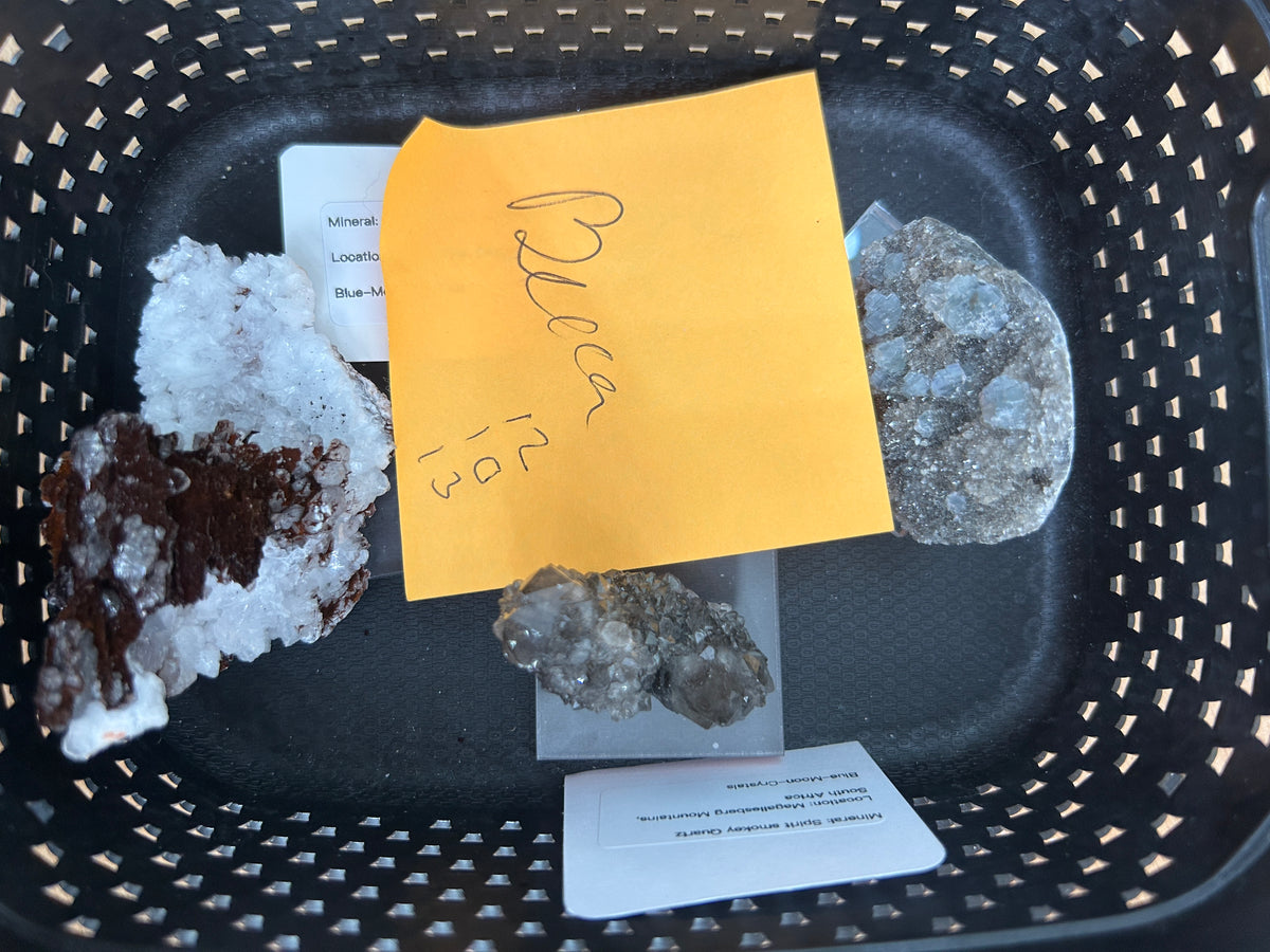 Live Sale Basket - Becca