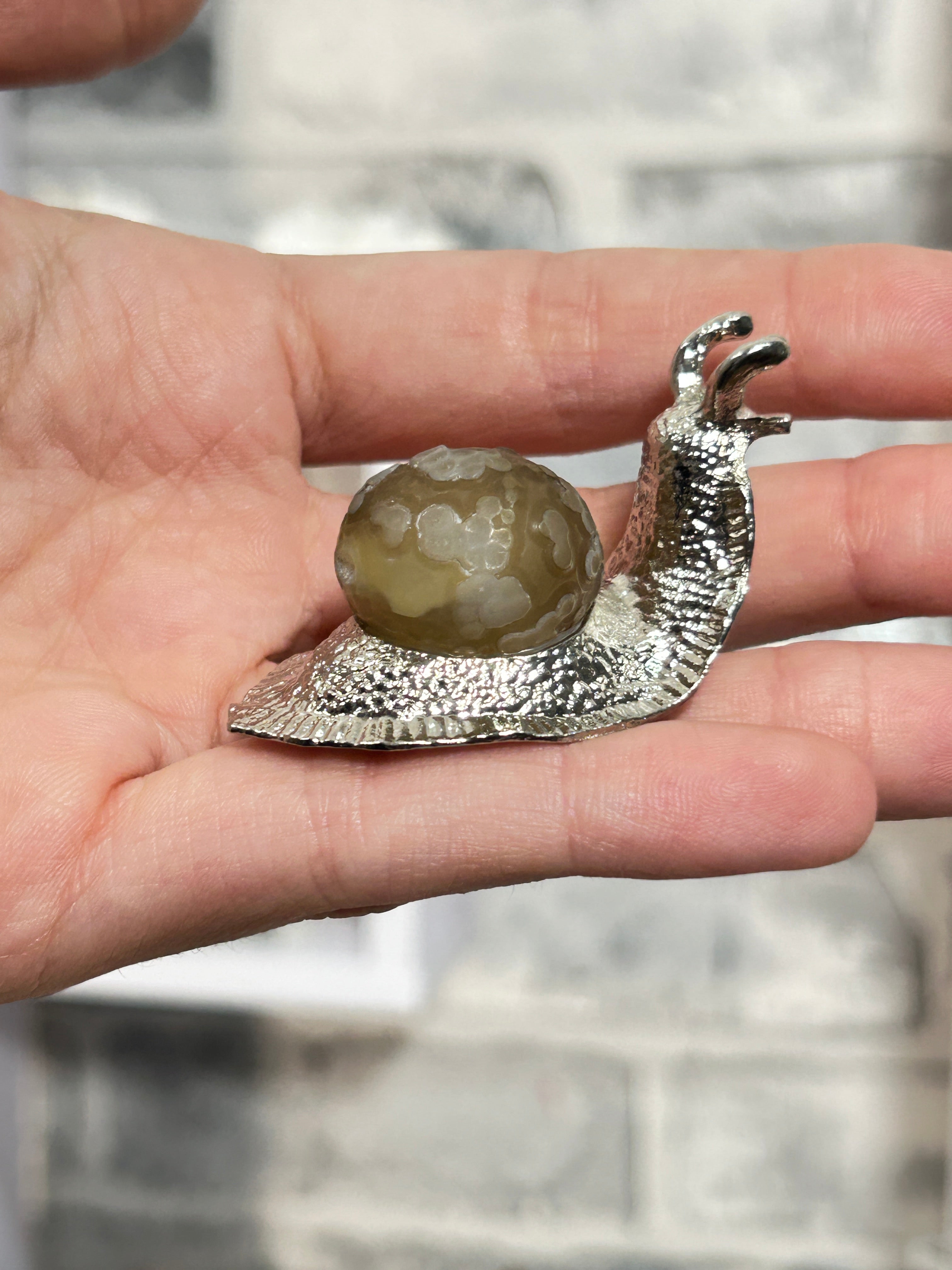 Gobi agate  snail 1