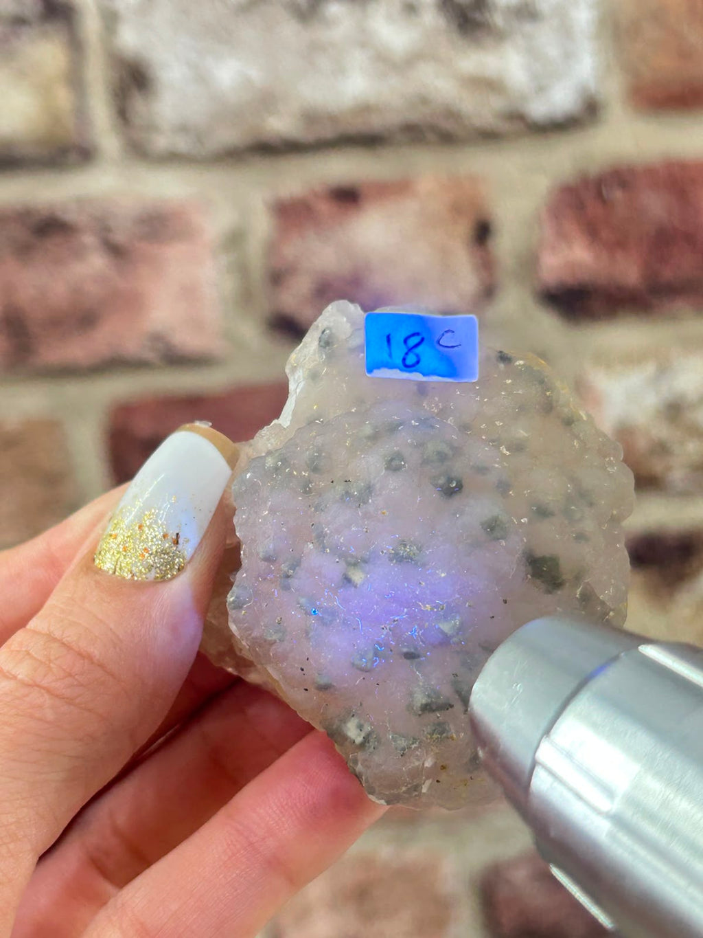 Botryoidal Fluorite with Pyrite C