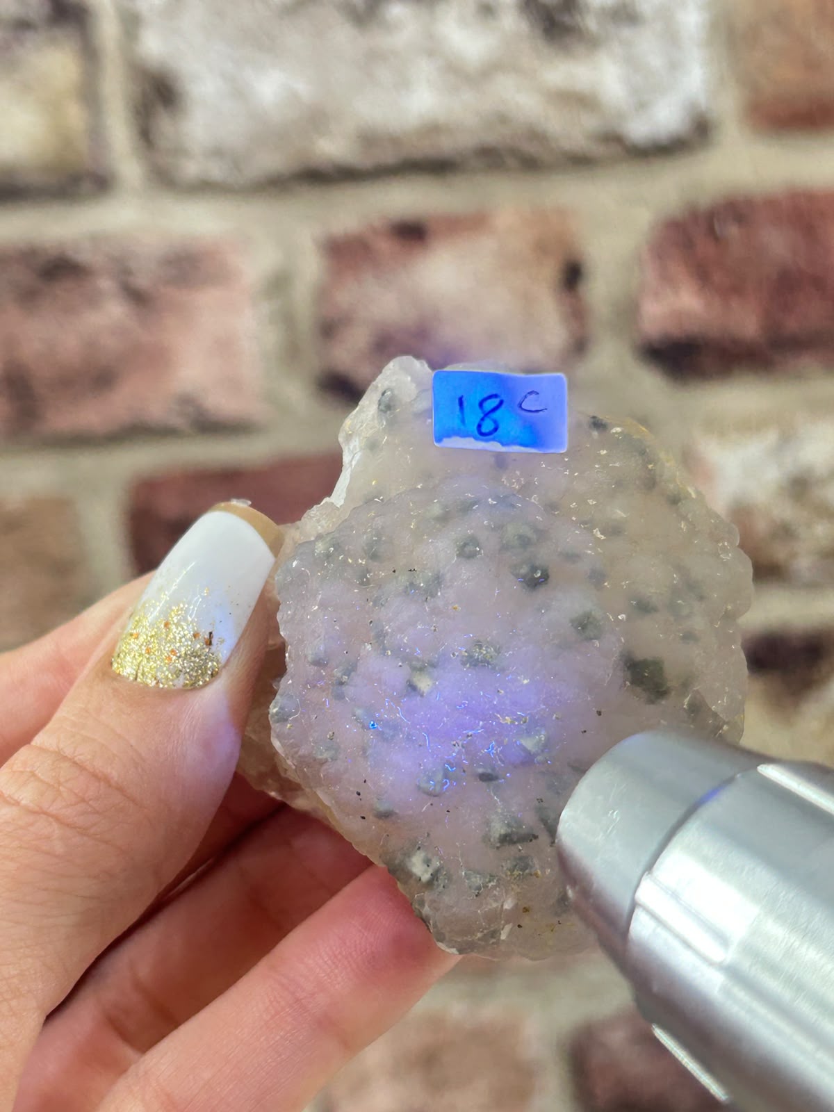 Botryoidal Fluorite with Pyrite C
