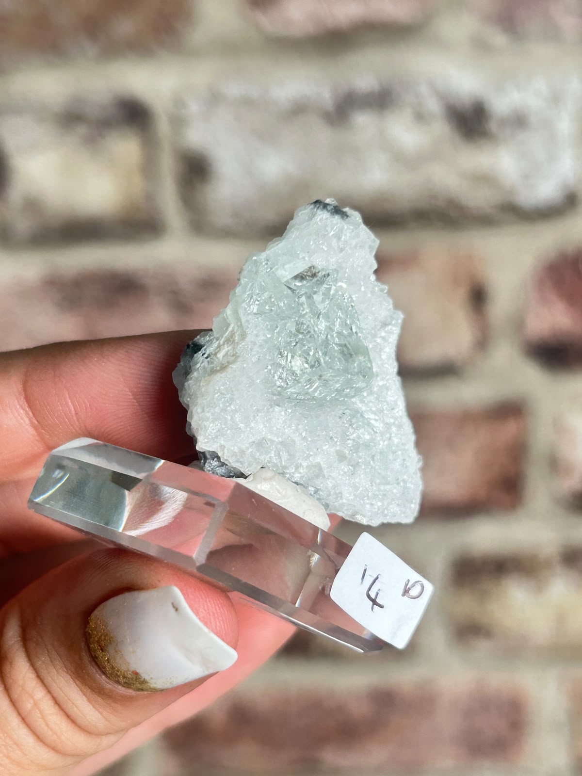Glassy Fluorite on Quartz D