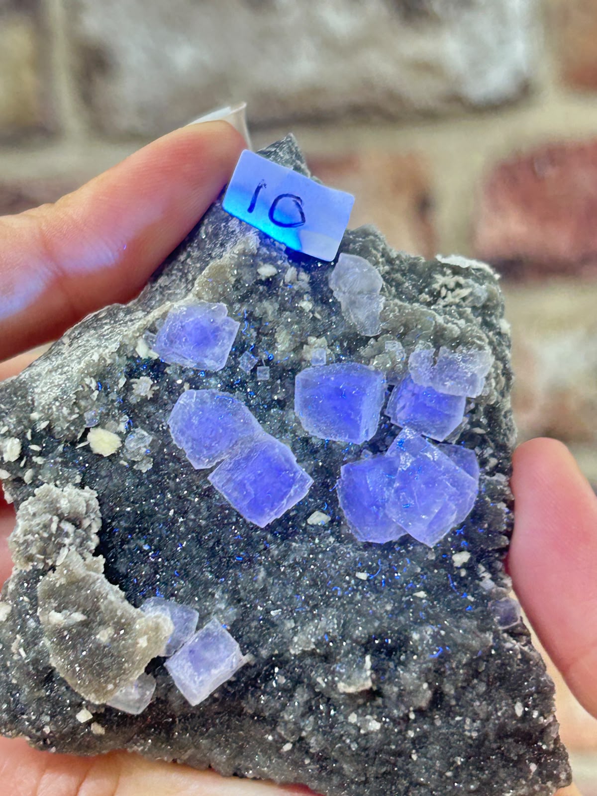 Fluorite on Black Quartz