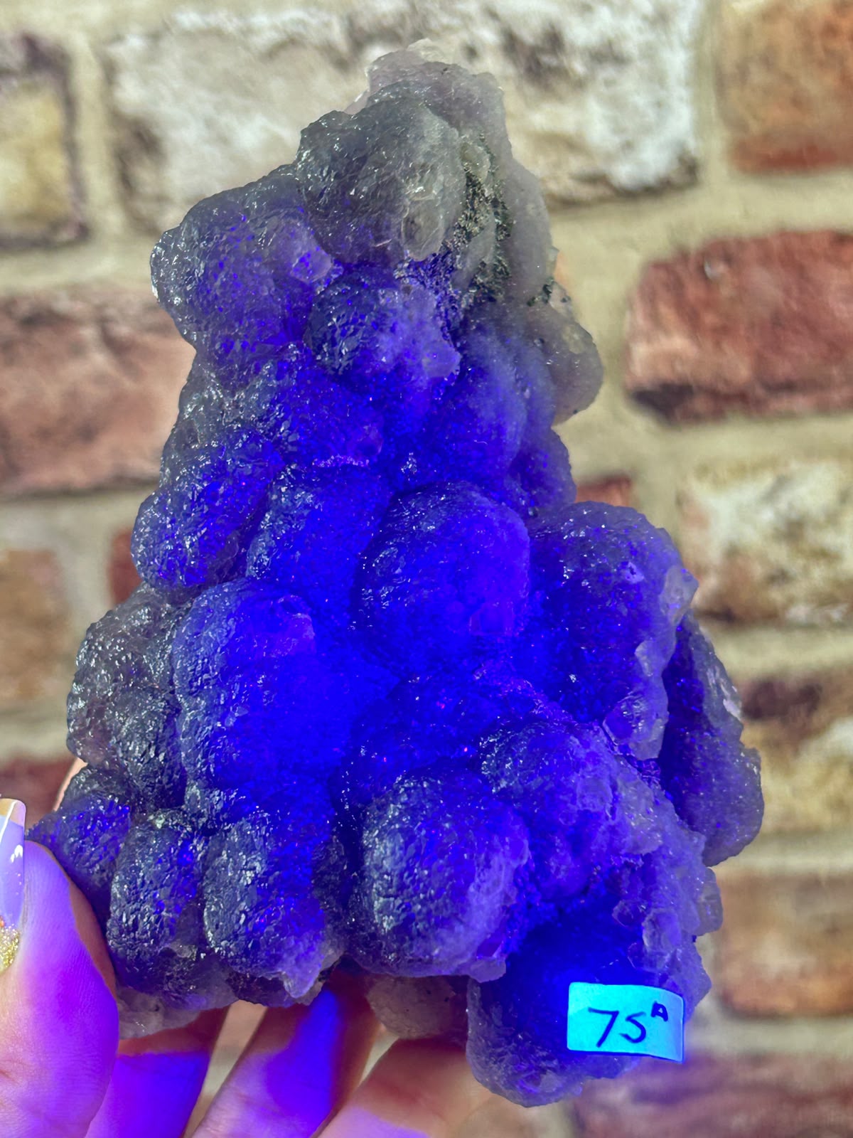 Botryoidal Fluorite with Pyrite A