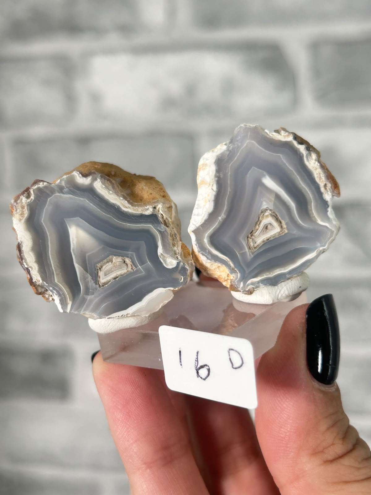 Blue Banded Agate Nodule Pair #4