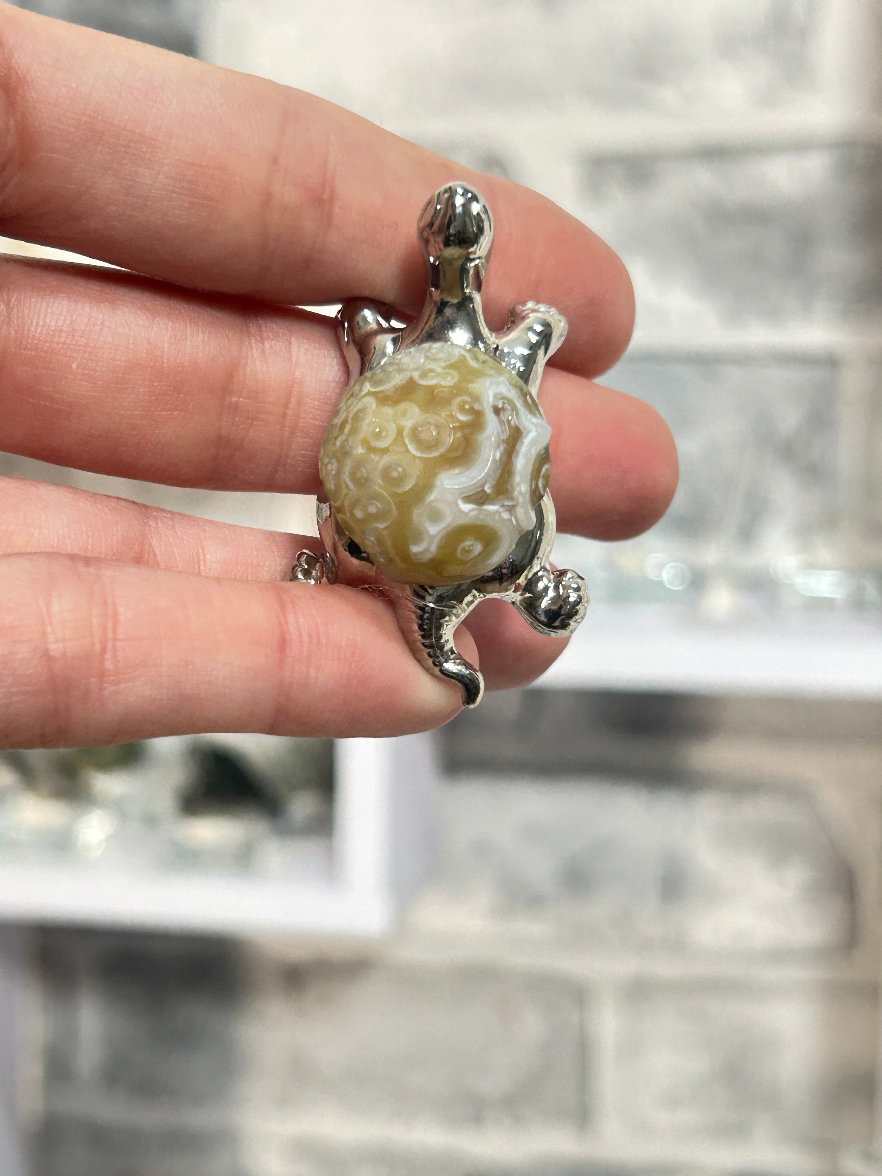 Gobi agate tortoise 4