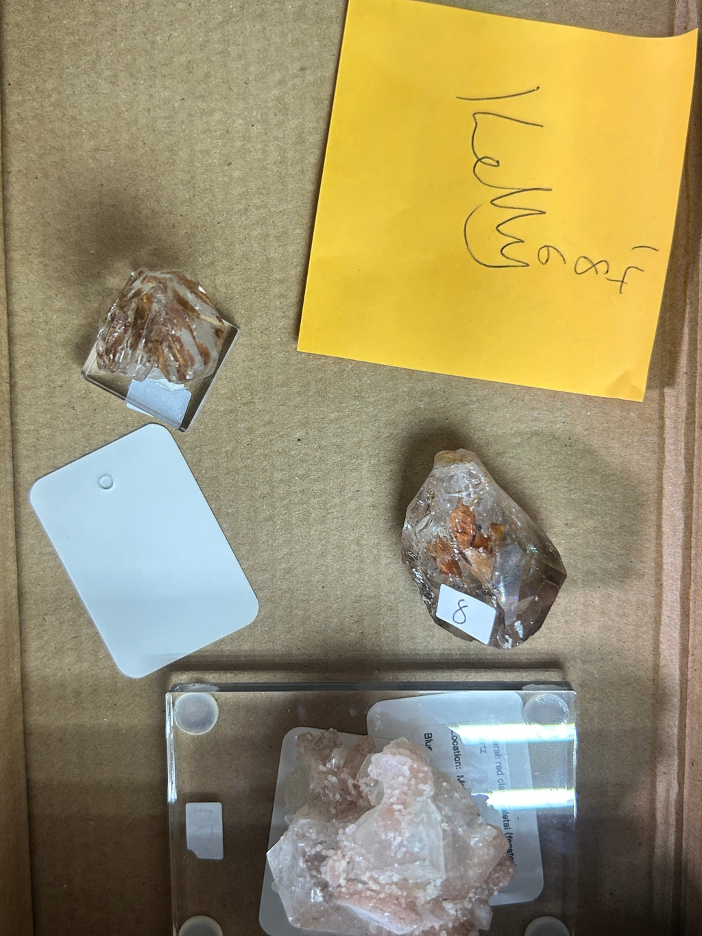 Live Sale Basket - Kelly