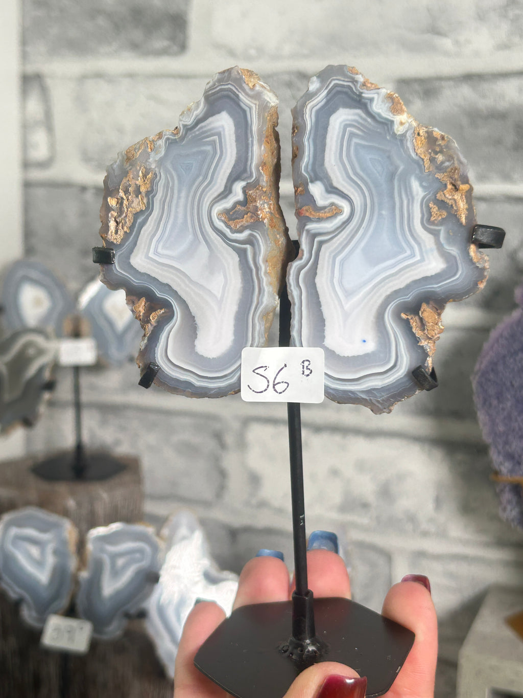 Blue Banded Agate Nodule Pair on Custom Stand B