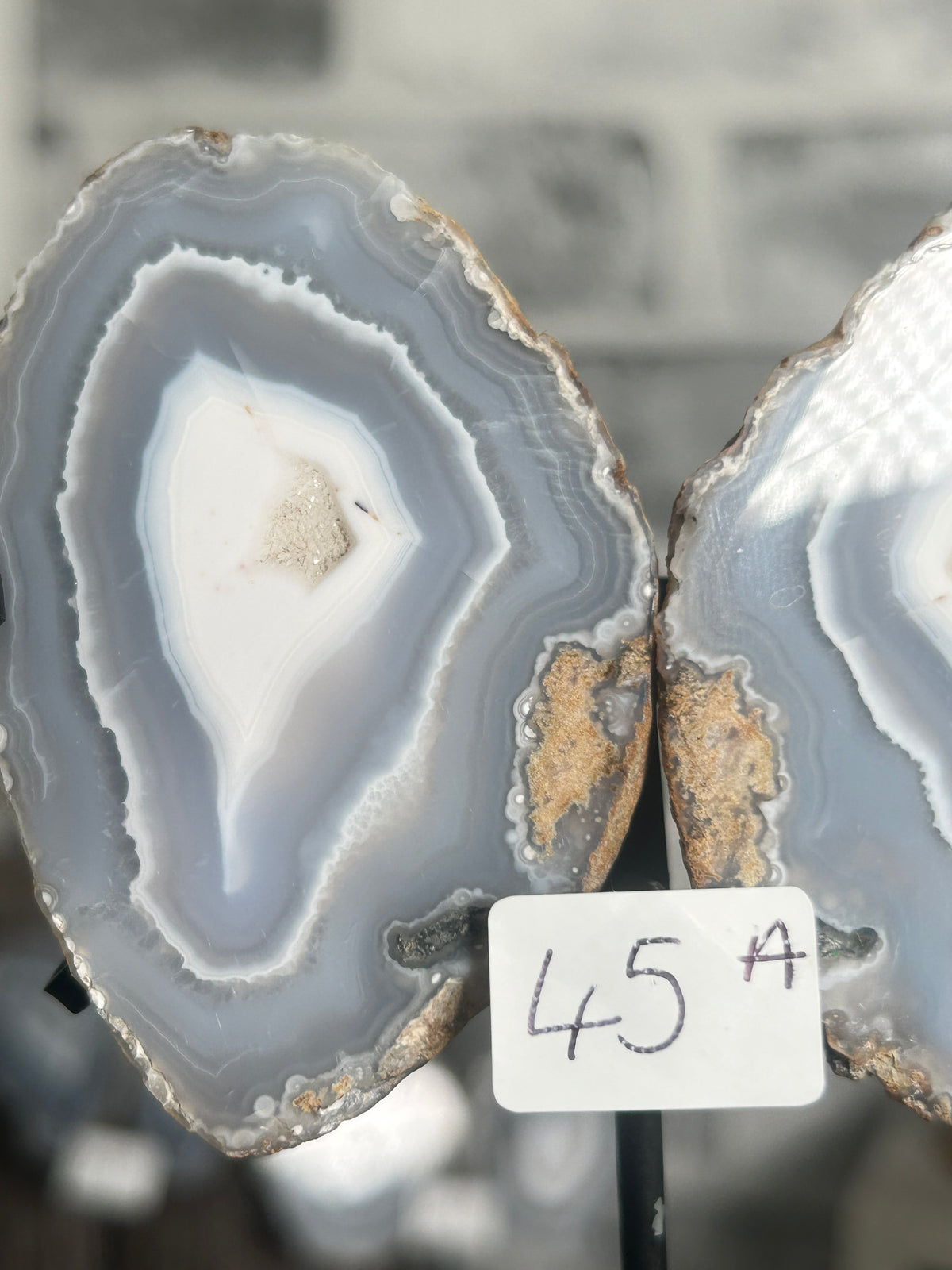Blue Banded Agate Nodule Pair on Custom Stand A