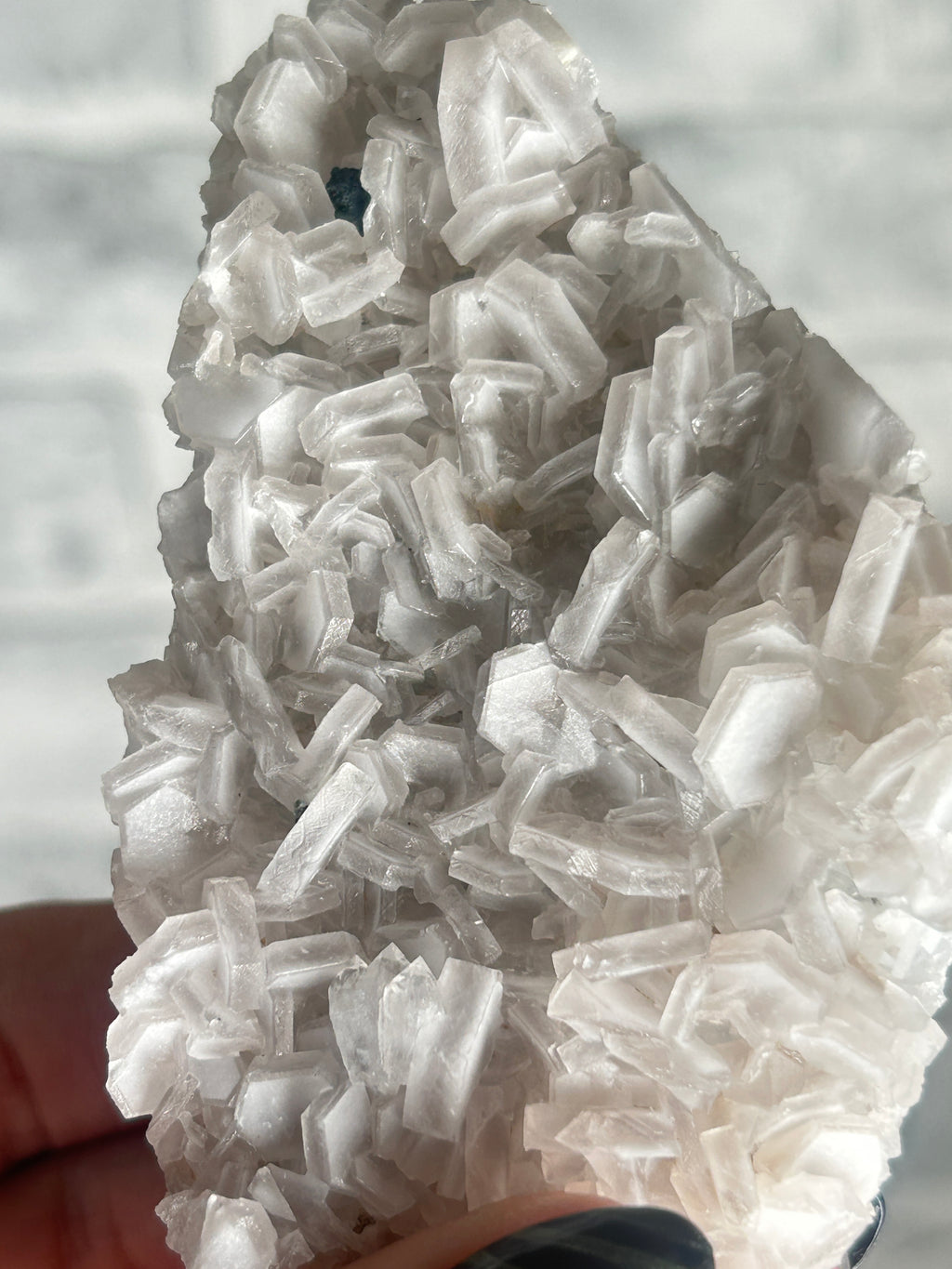 Coin Calcite Cluster from Fujian China