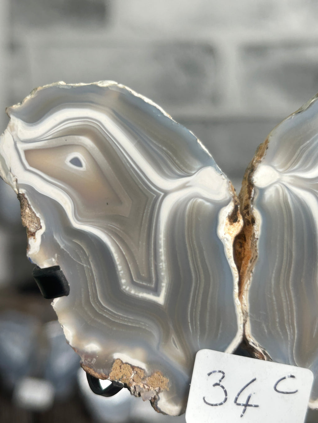 Blue Grey Banded Agate Nodule Pair on Custom Stand C
