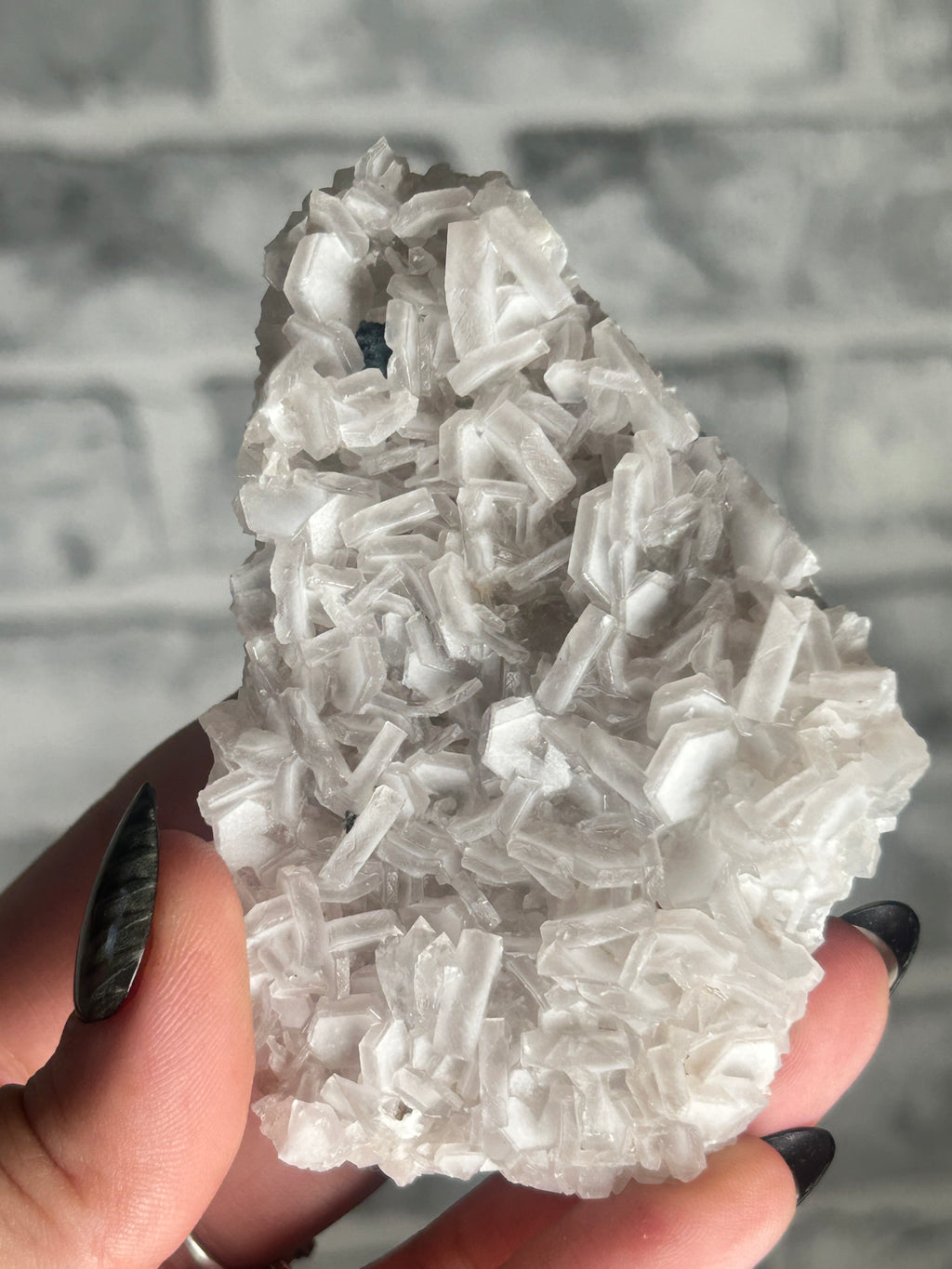 Coin Calcite Cluster from Fujian China