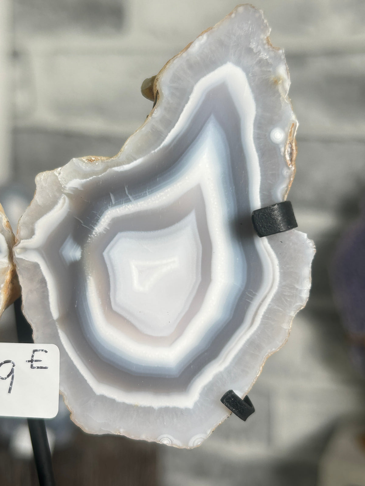 Blue Banded Agate Nodule Pair on Custom Stand E