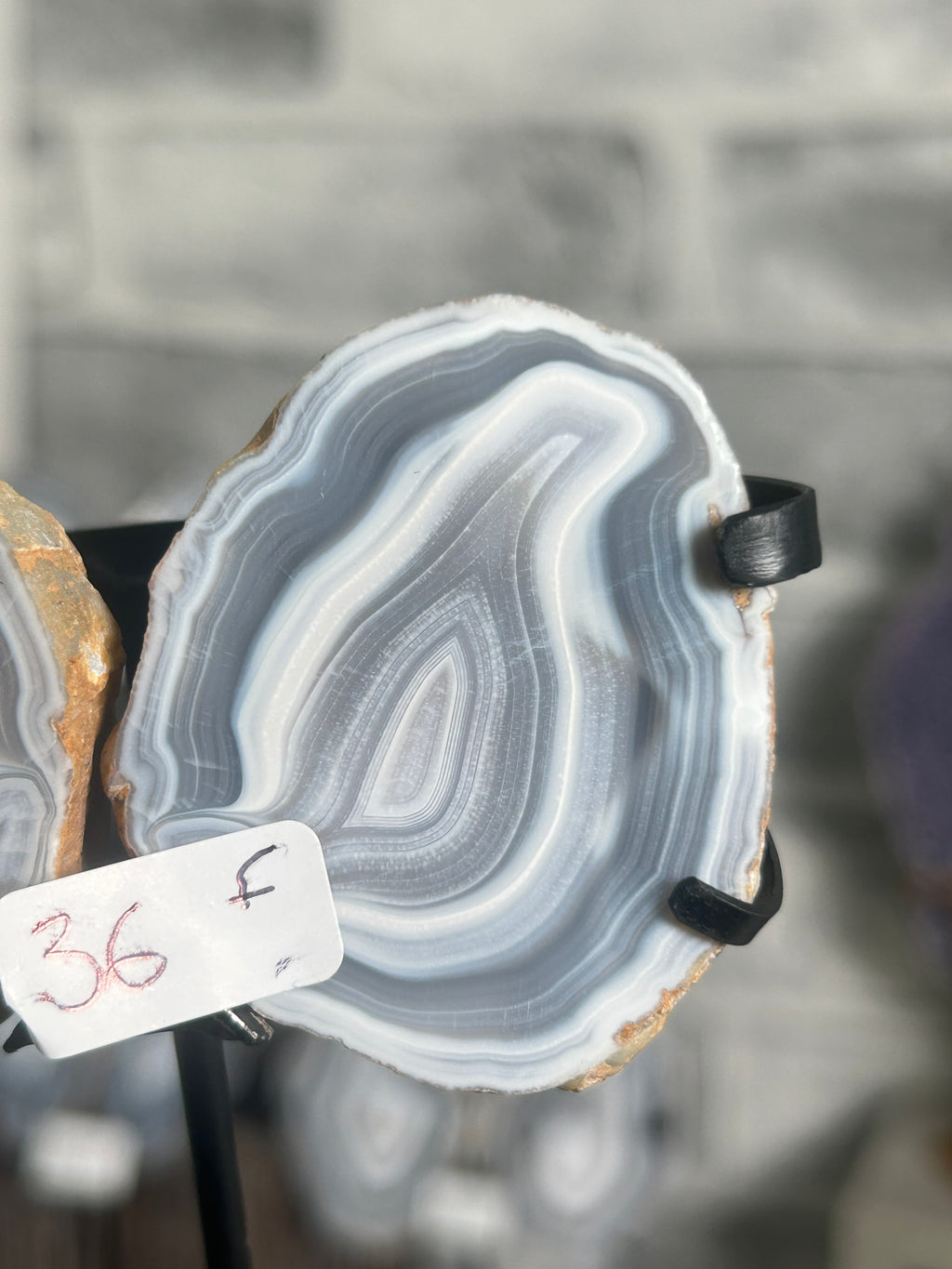 Blue Banded Agate Nodule Pair on Custom Stand F
