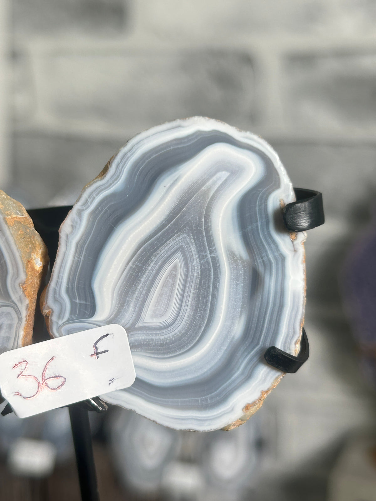 Blue Banded Agate Nodule Pair on Custom Stand F