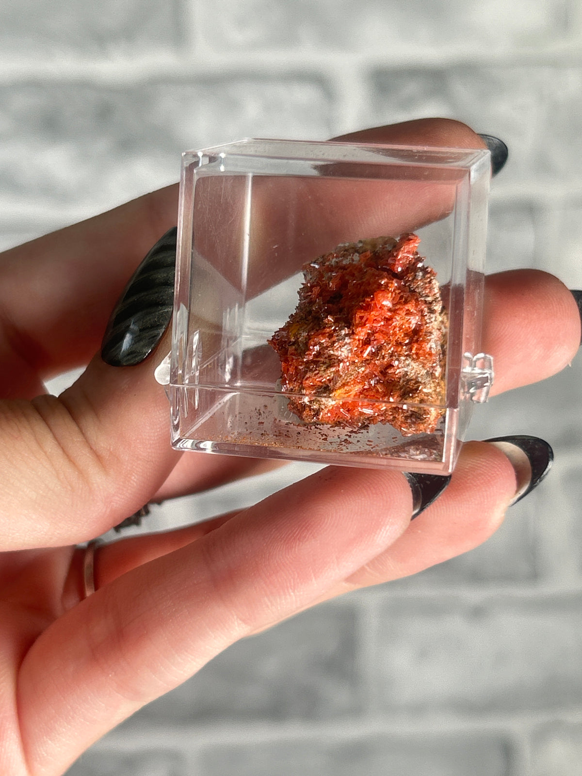 Crocoite Specimen from Australia