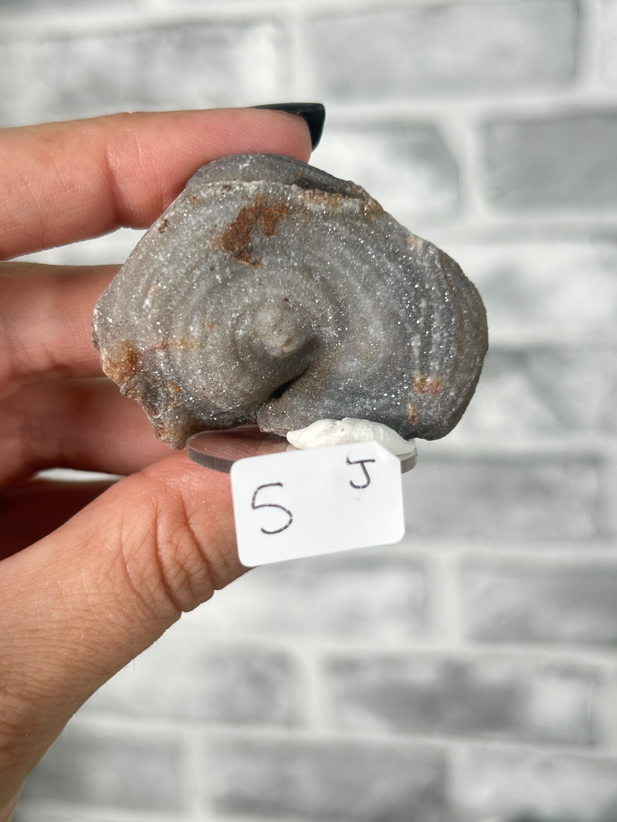 Chalcedony Agate Rosette #10