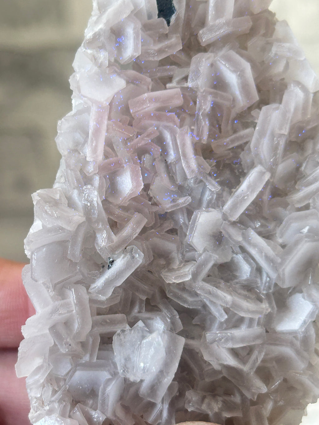 Coin Calcite Cluster from Fujian China