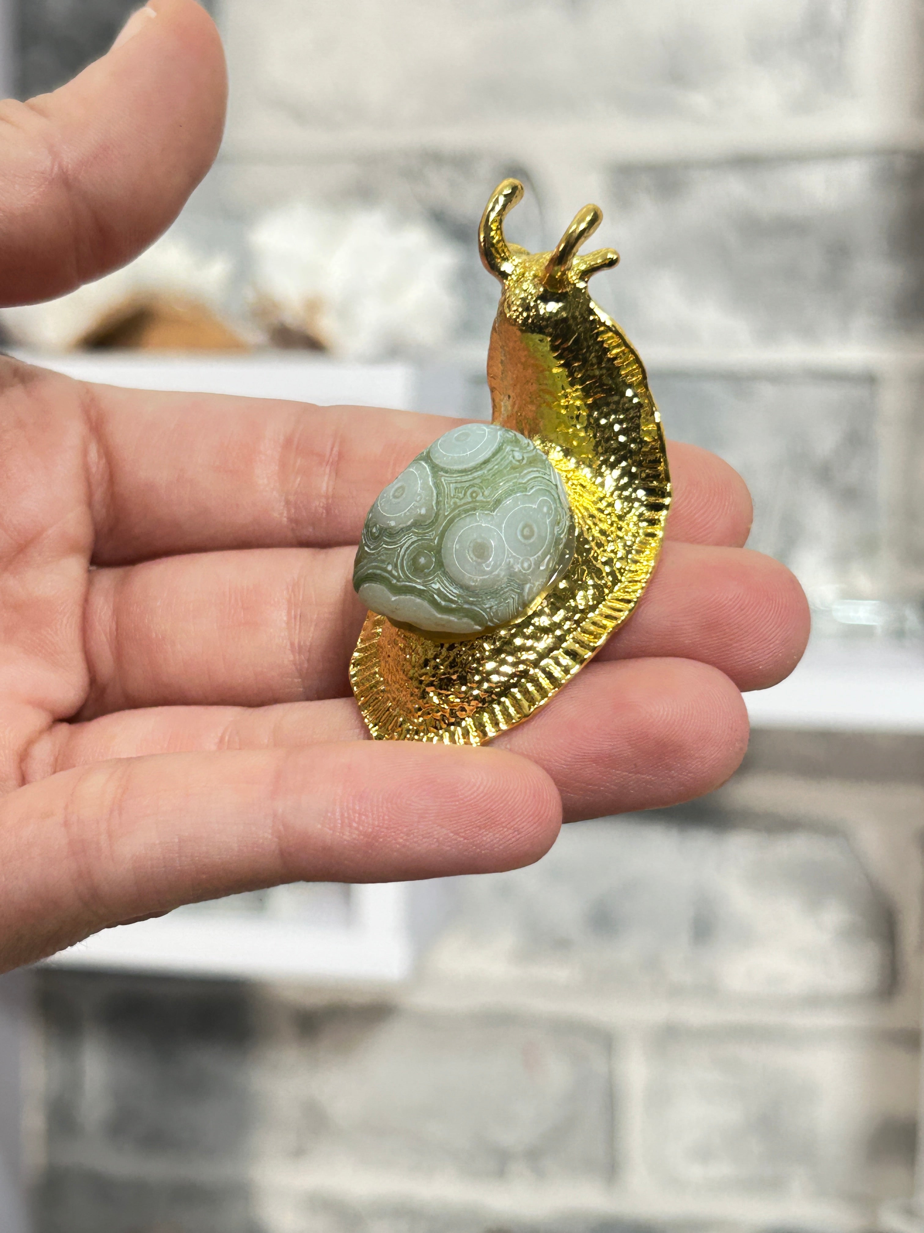Gobi agate  snail 4