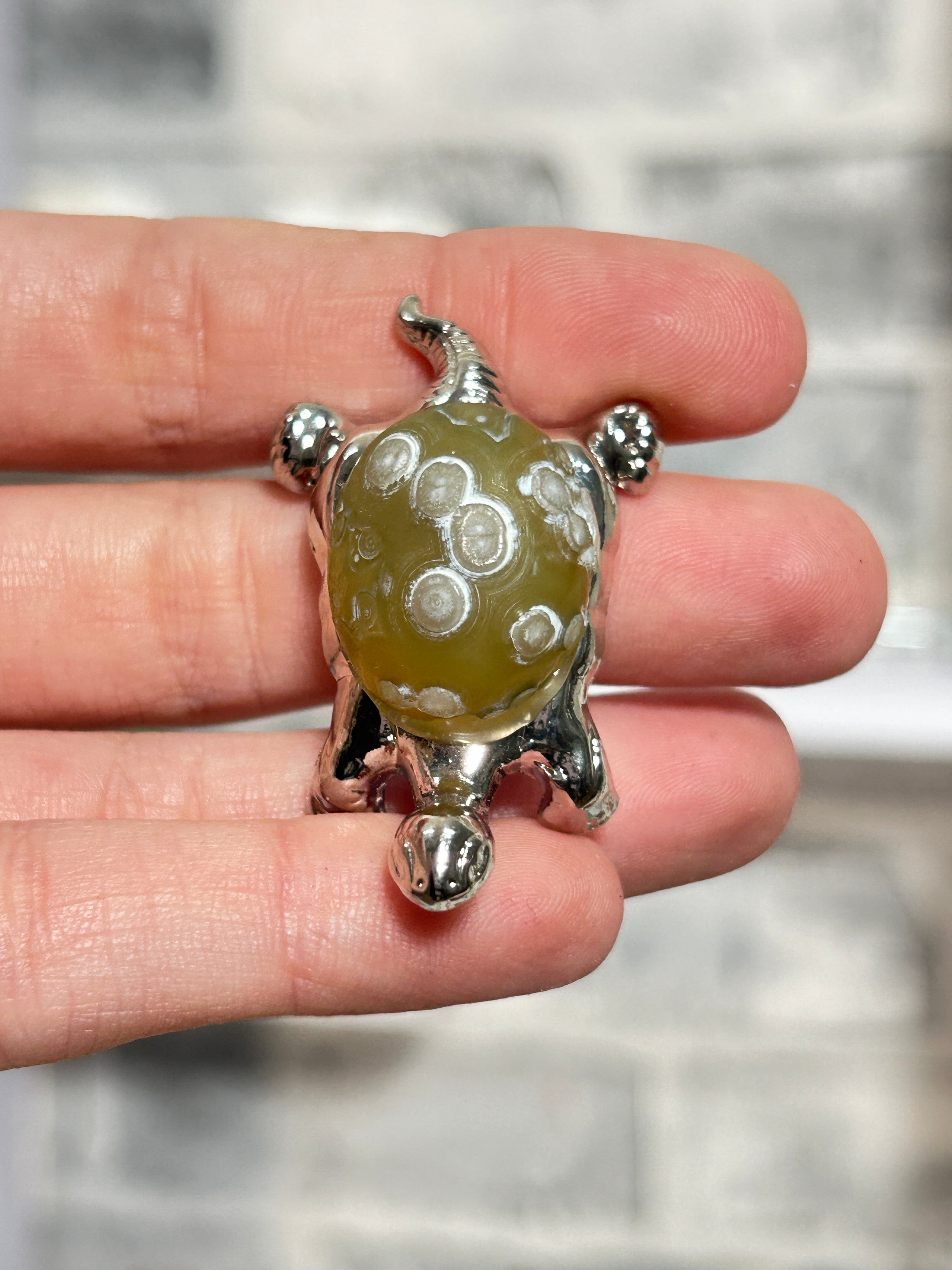 Gobi agate tortoise 1