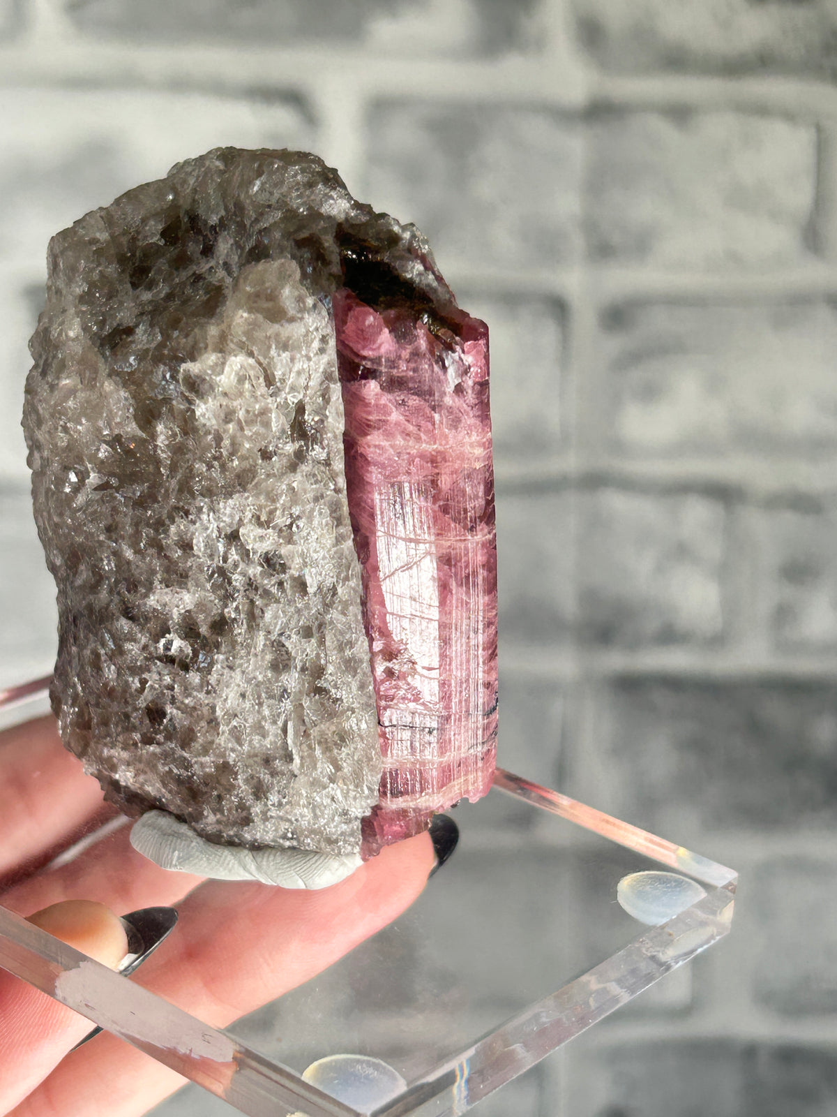 Watermelon Tourmaline on Quartz