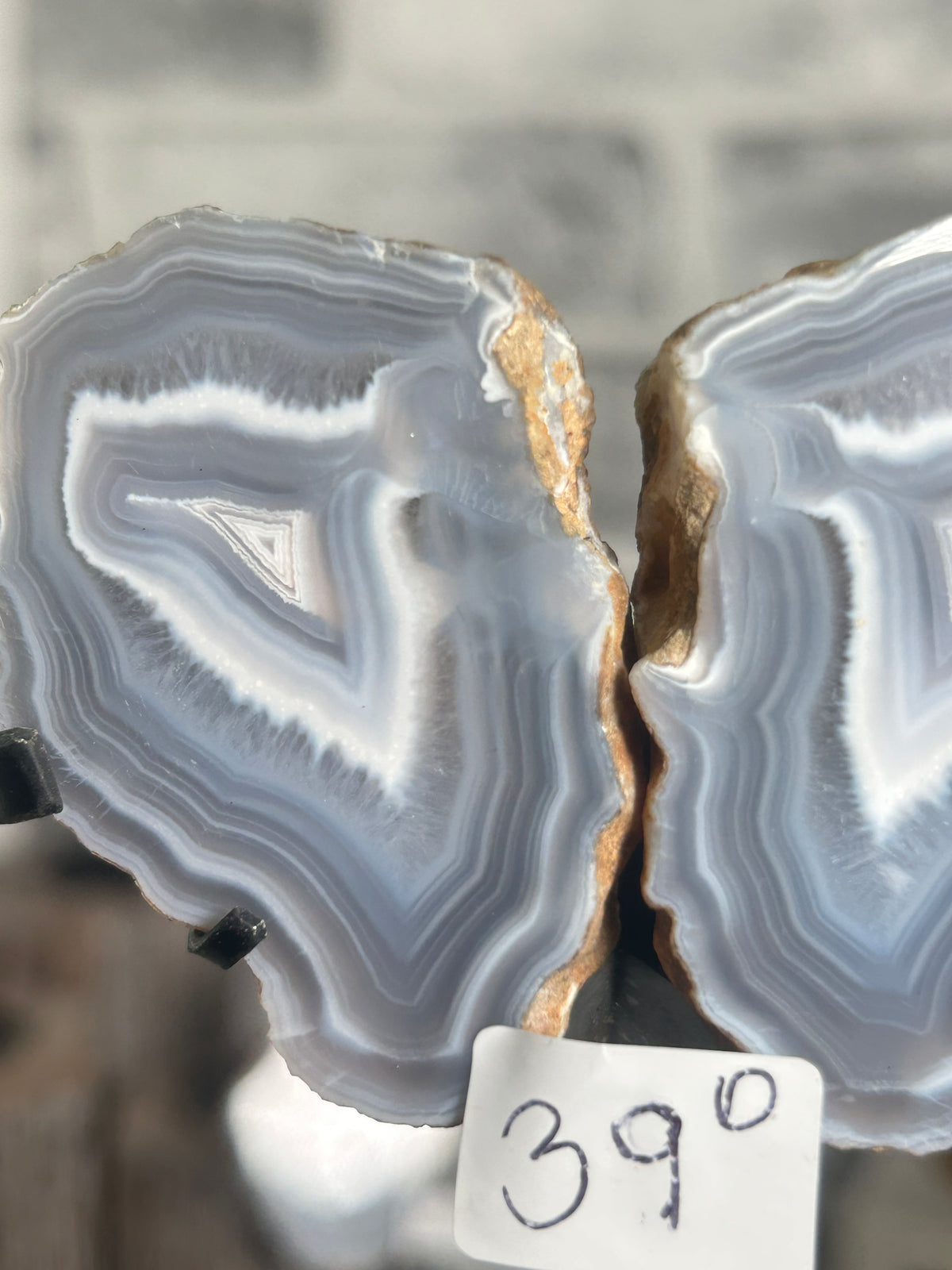 Blue Banded Agate Nodule Pair on Custom Stand D