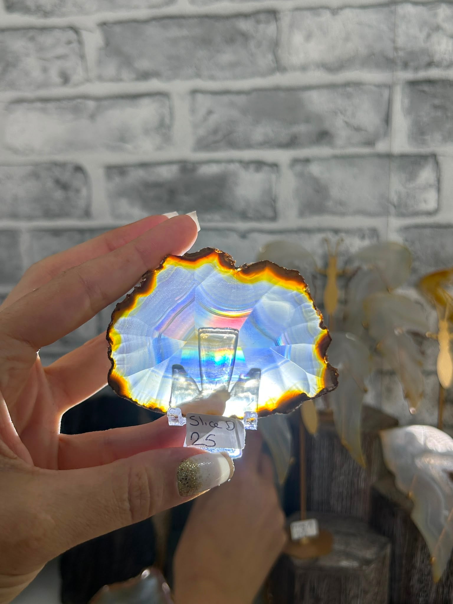 Iris Agate Slice D
