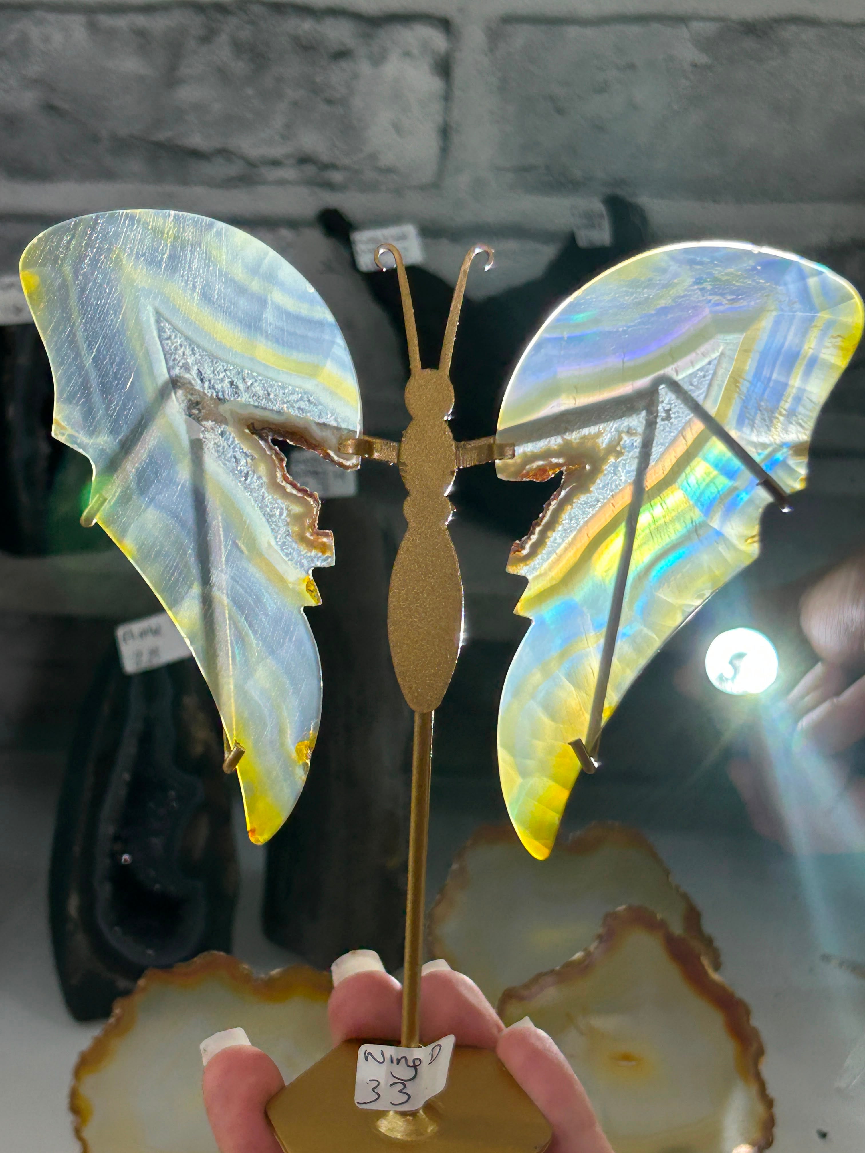 Iris Agate Wings D