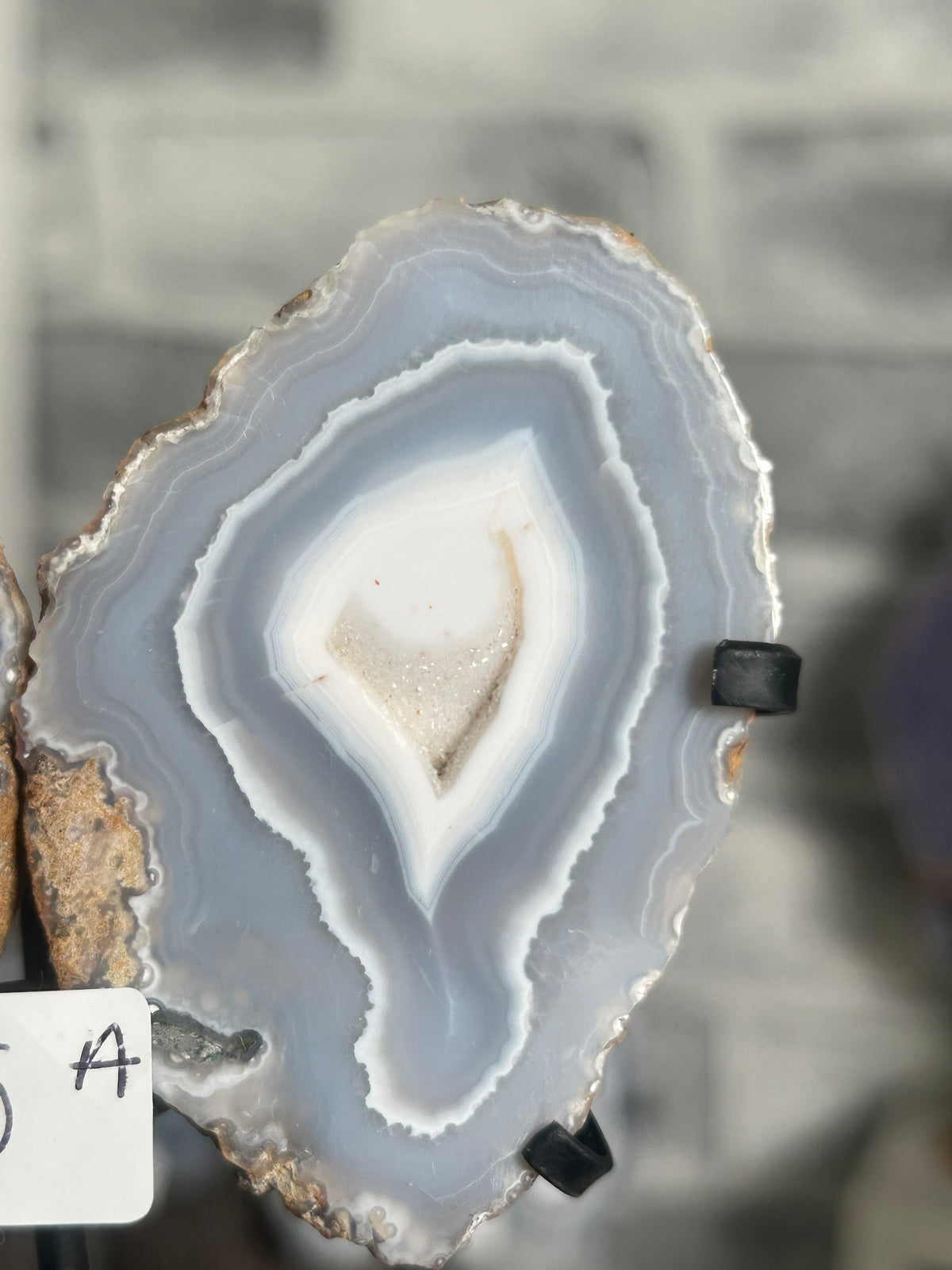 Blue Banded Agate Nodule Pair on Custom Stand A