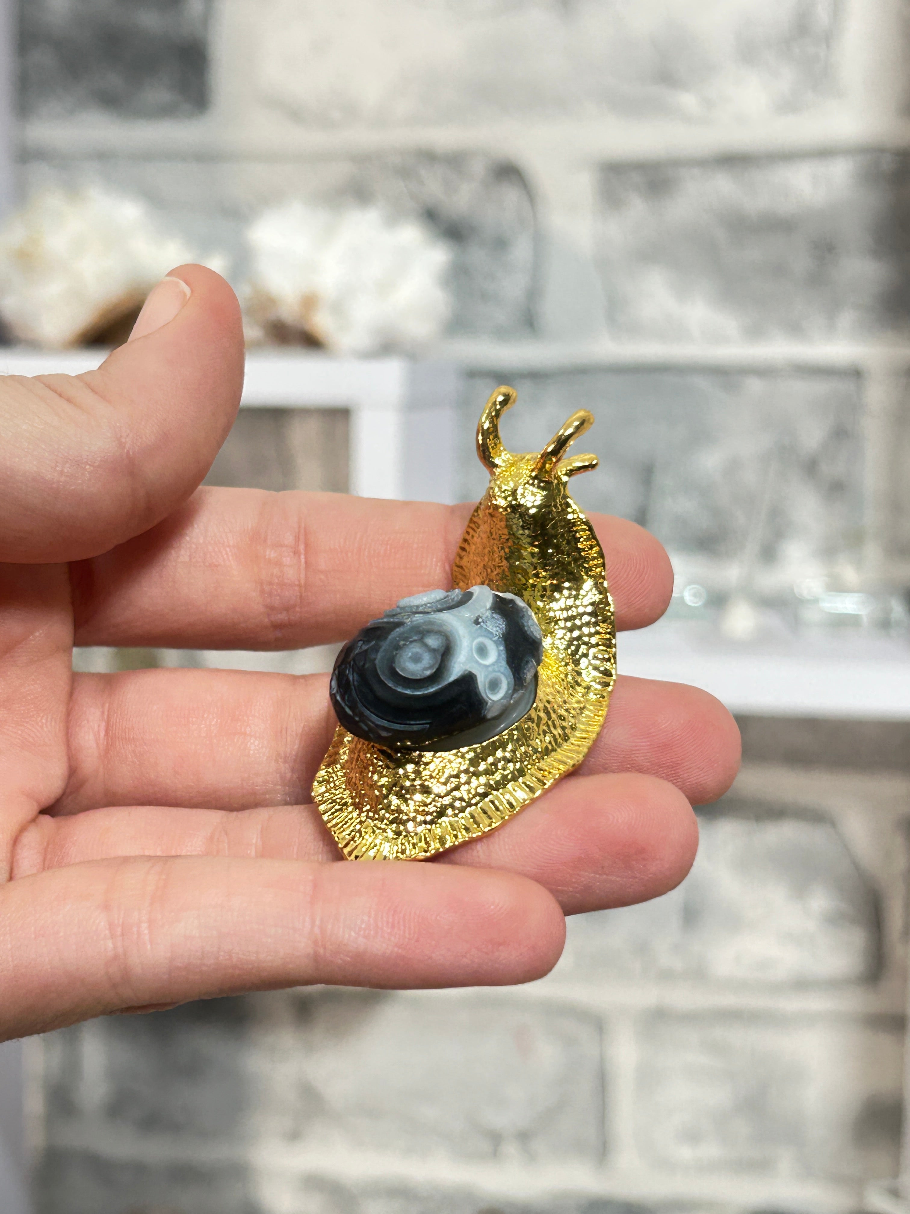 Gobi agate  snail 3