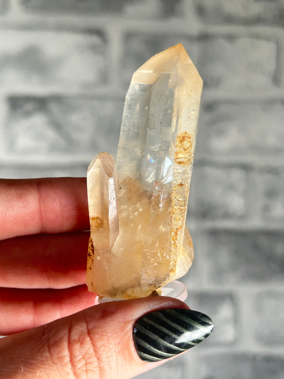 Brazilian Golden Healer Point