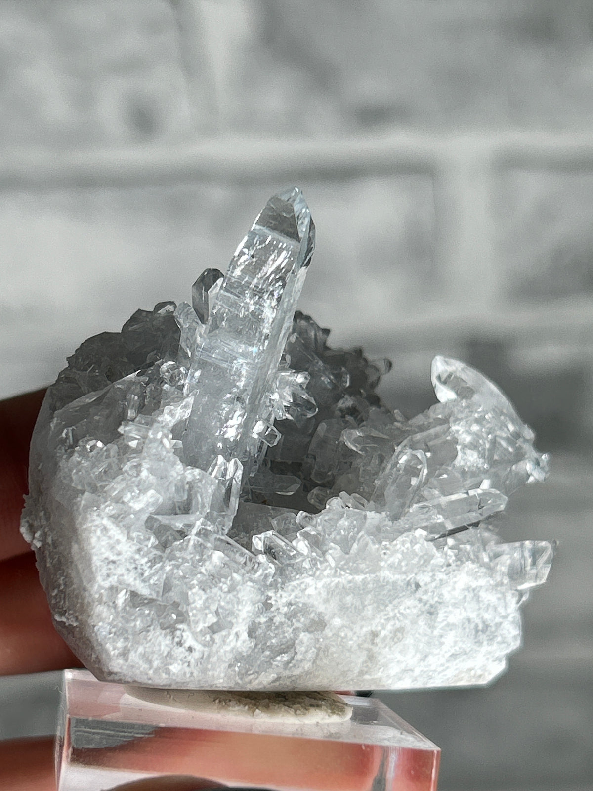 Madagascan Celestite