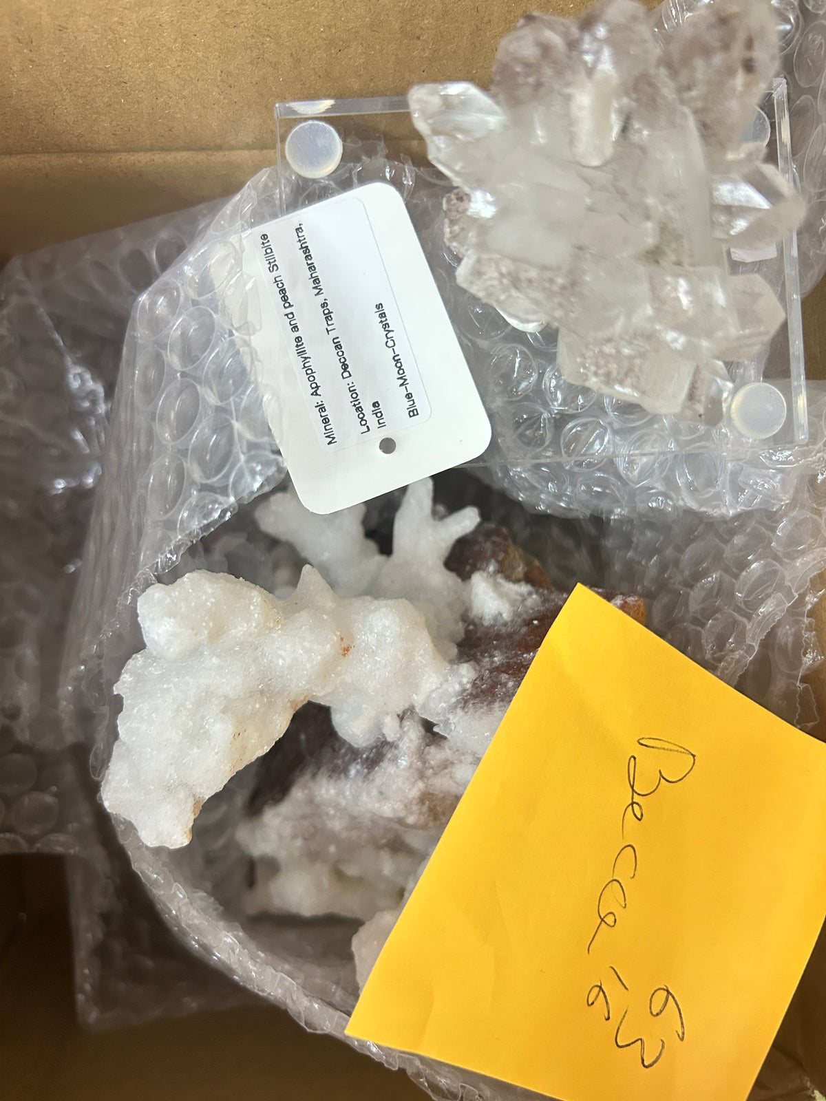 Live Sale Basket - Becca