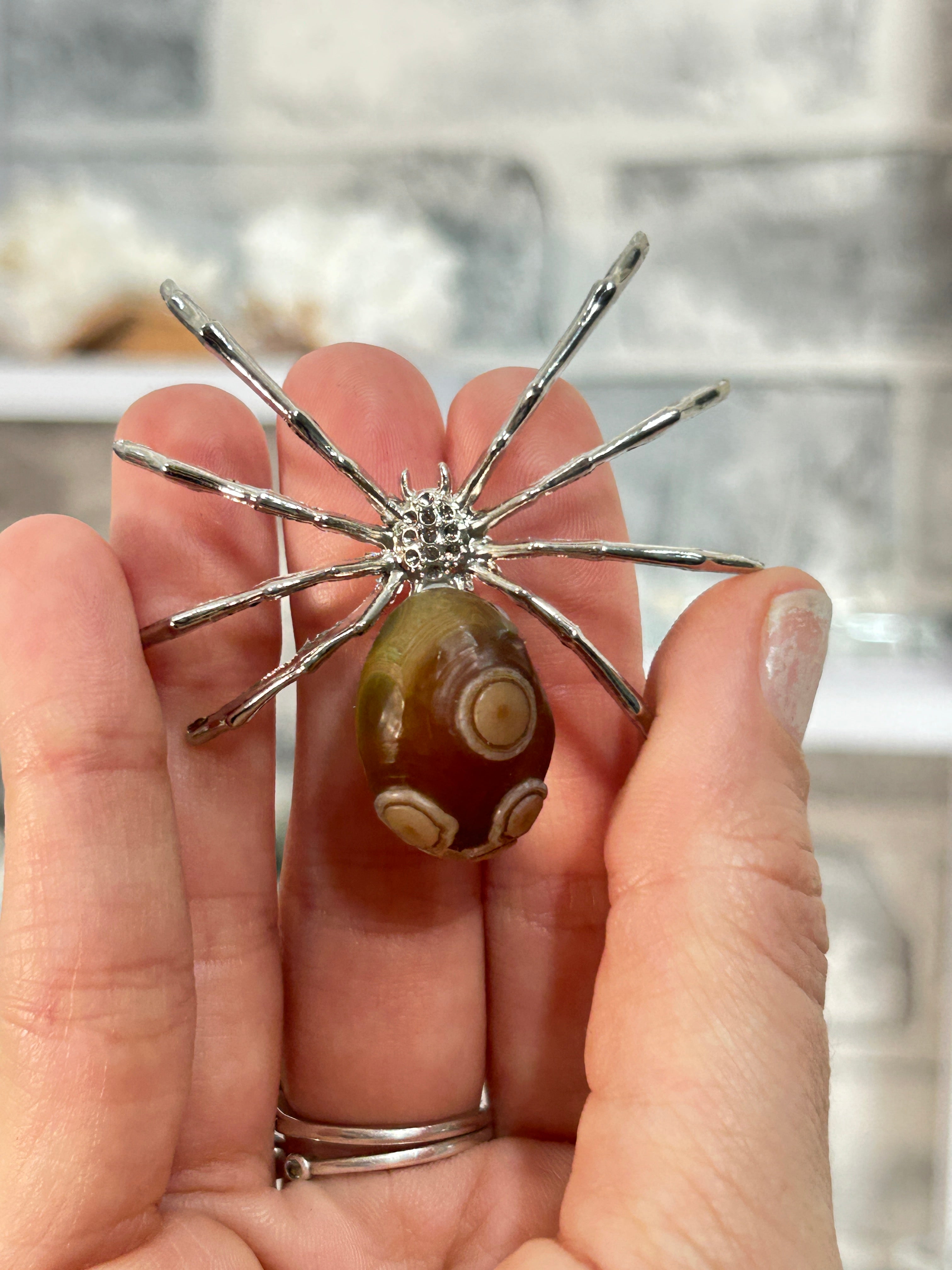 Gobi agate spider 7
